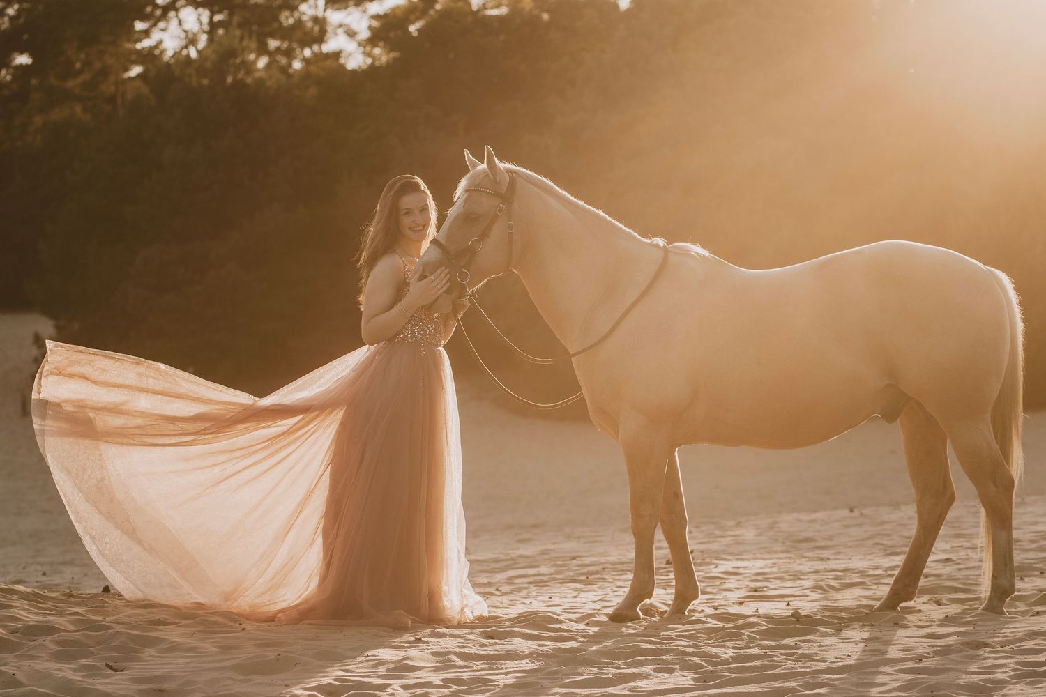 Silhouetted horses and flowing fabric create a dreamy backlit scene at sunset in a golden field.
