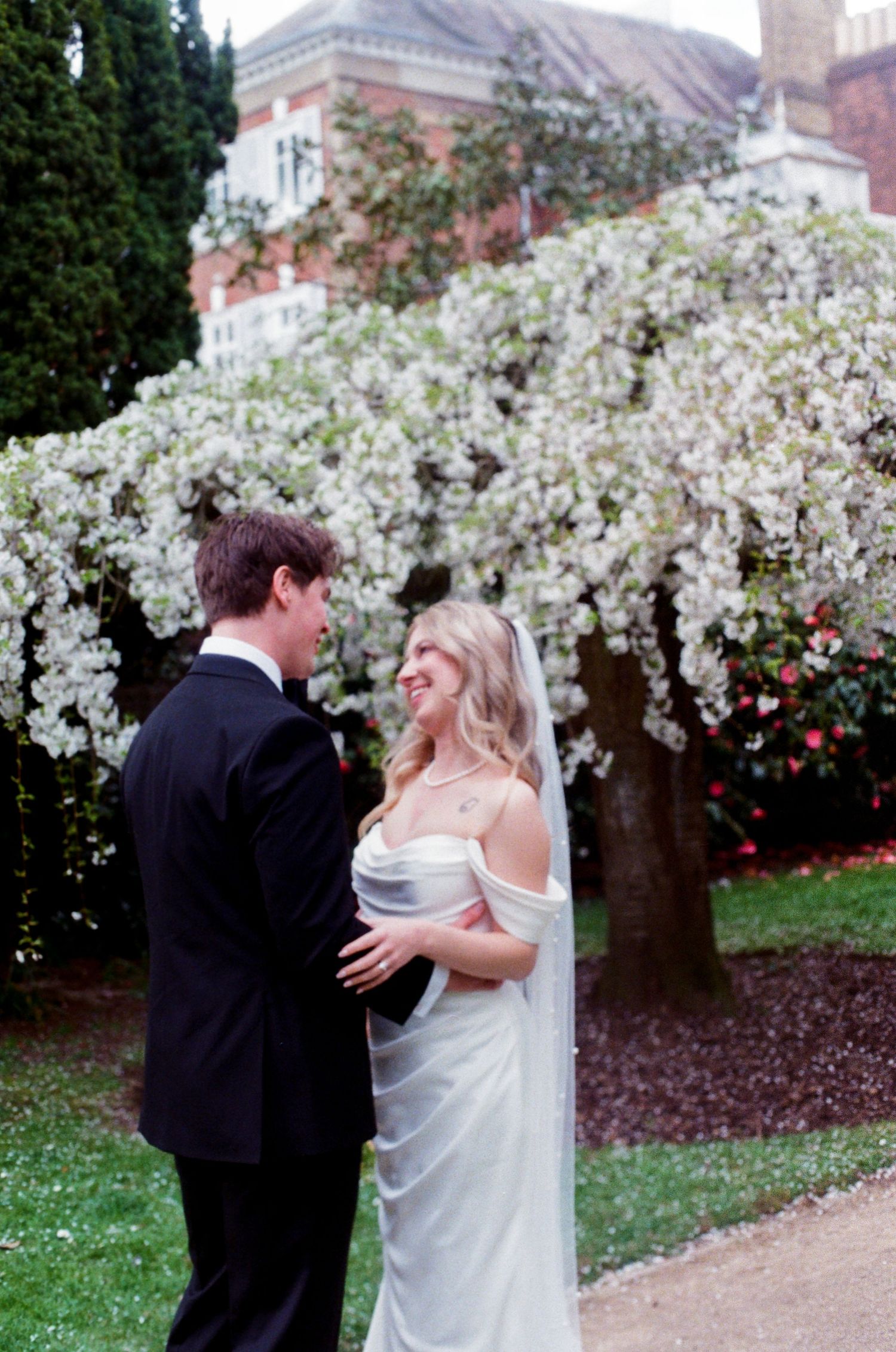 First look under blooming white tree outside York House in Twickenham