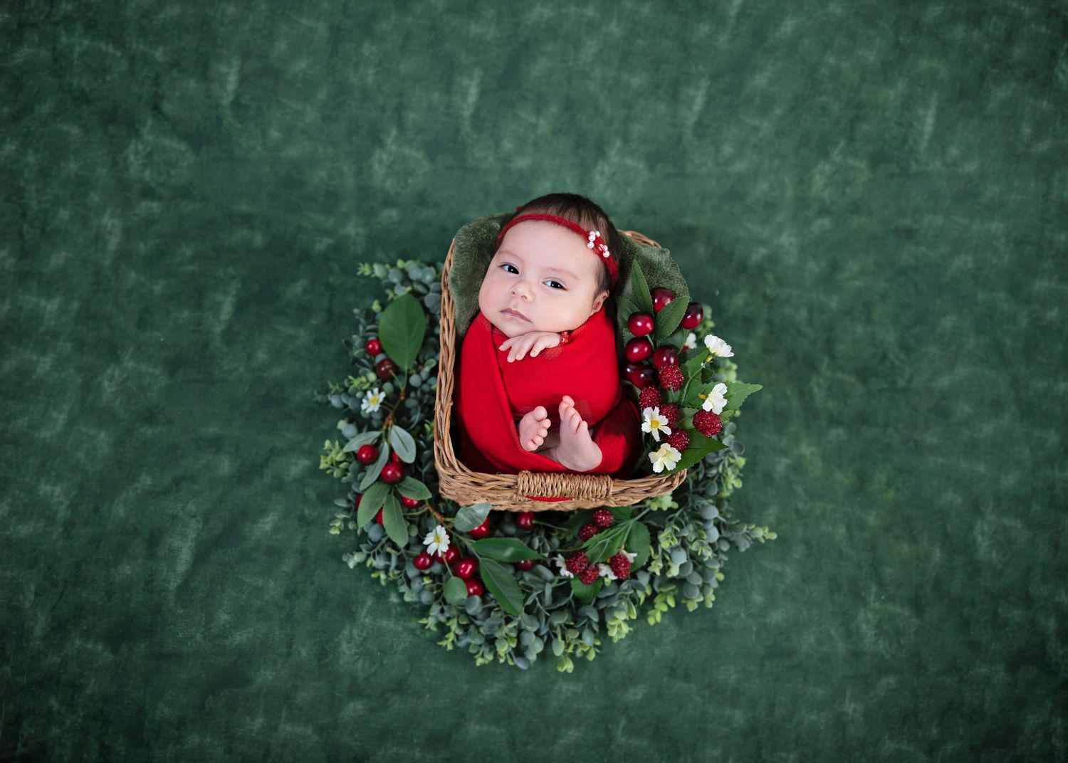 Newborn baby in red outfit resting in a wicker basket surrounded by festive greenery and red berries on green background.