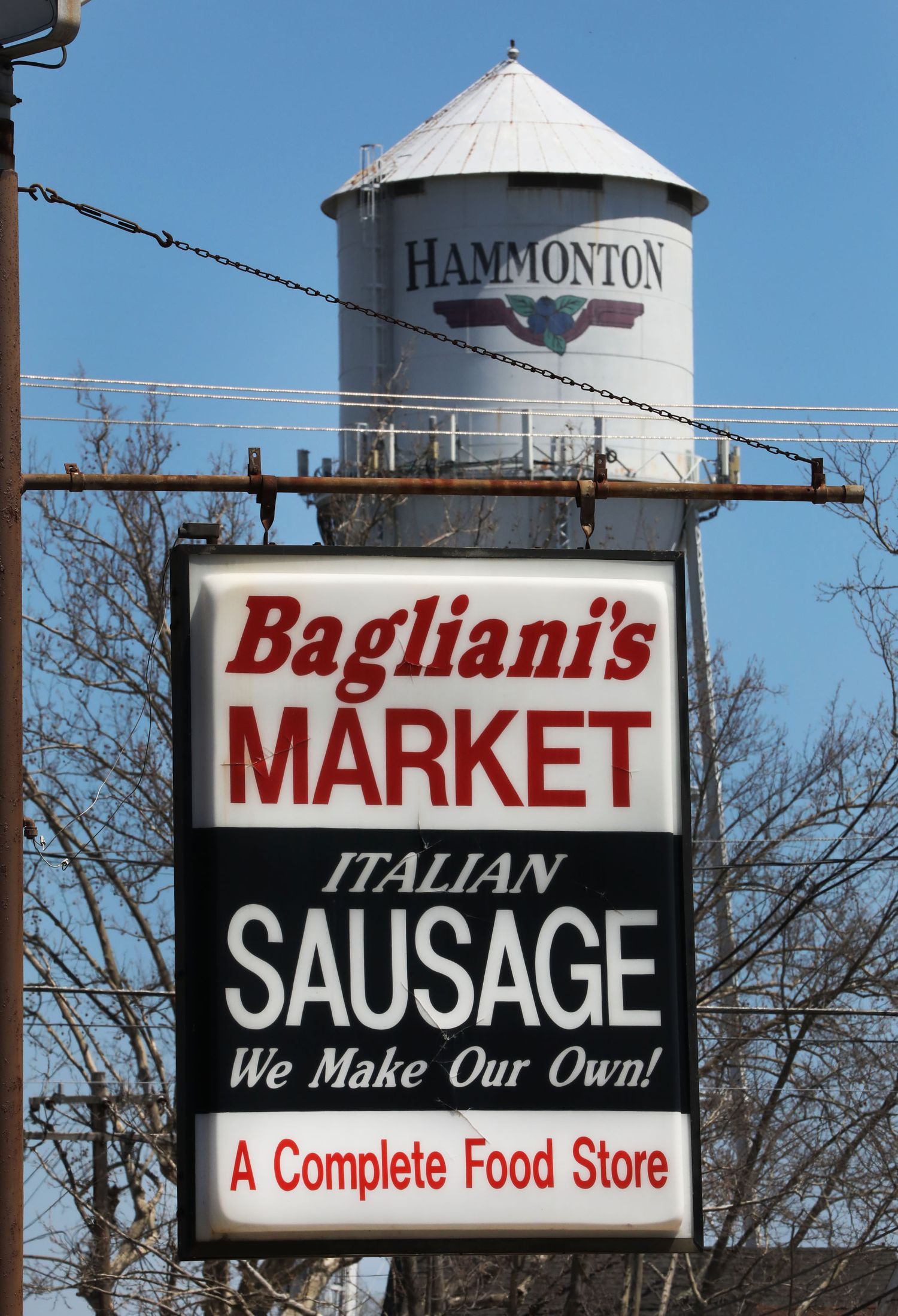 Vintage market signs for Bagliani's Italian sausage and food store with water towers in background.