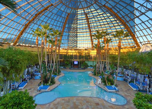 Glass-domed indoor pool area with palm trees and lounge chairs during daytime.