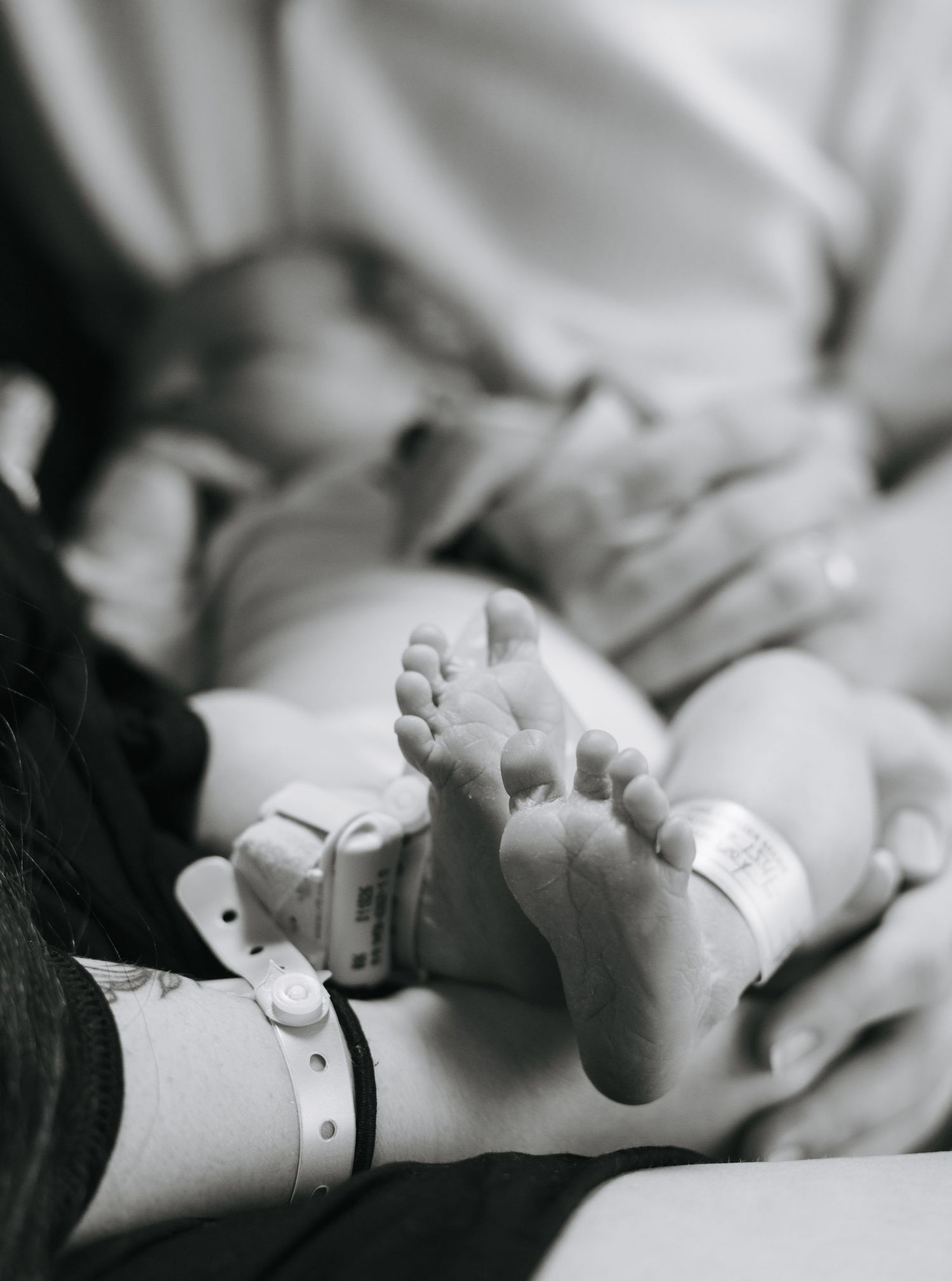 Black and white close-up images of tiny baby feet and hands.