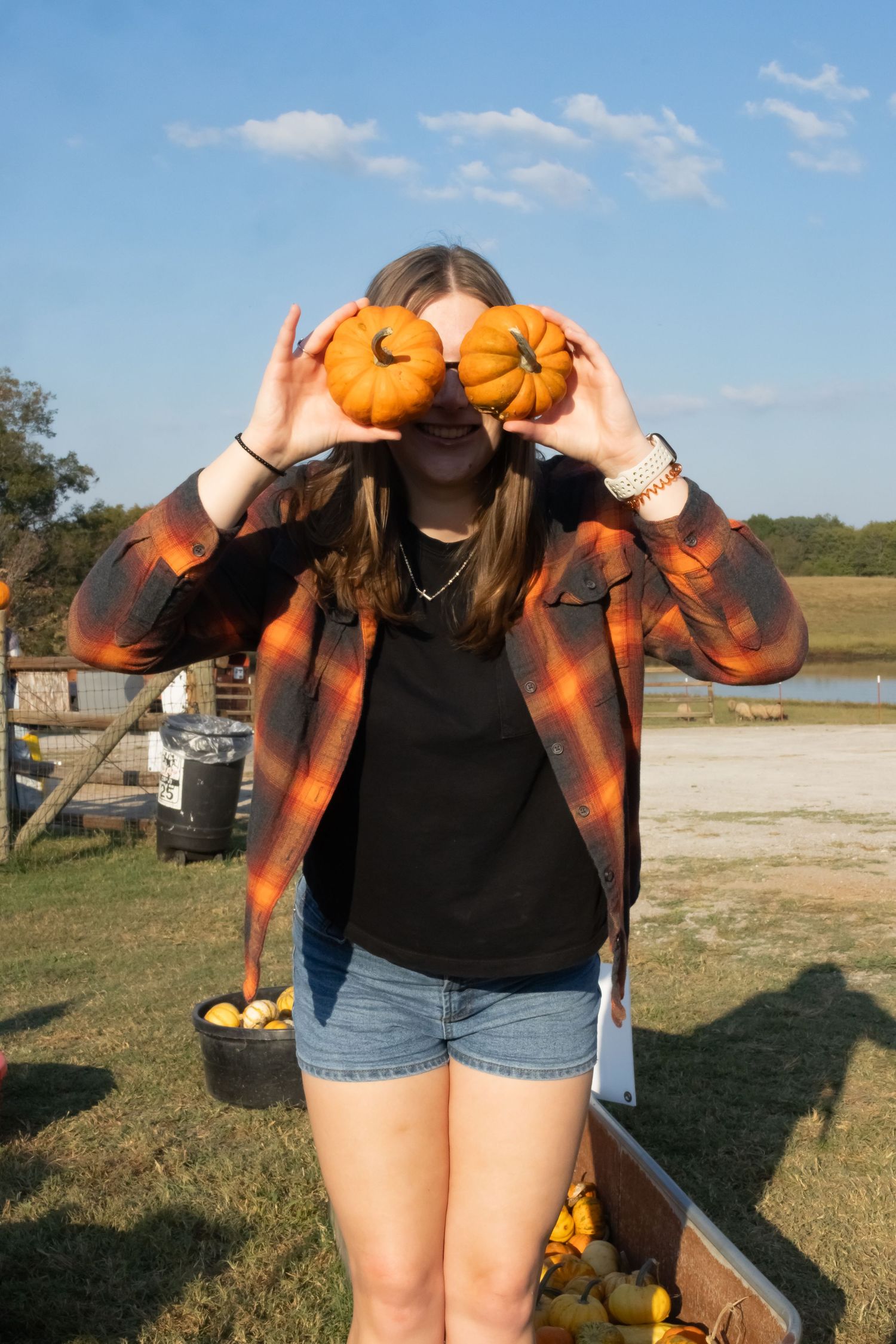 A series of photos showing someone in a black shirt and denim shorts holding small orange pumpkins at a pumpkin patch.