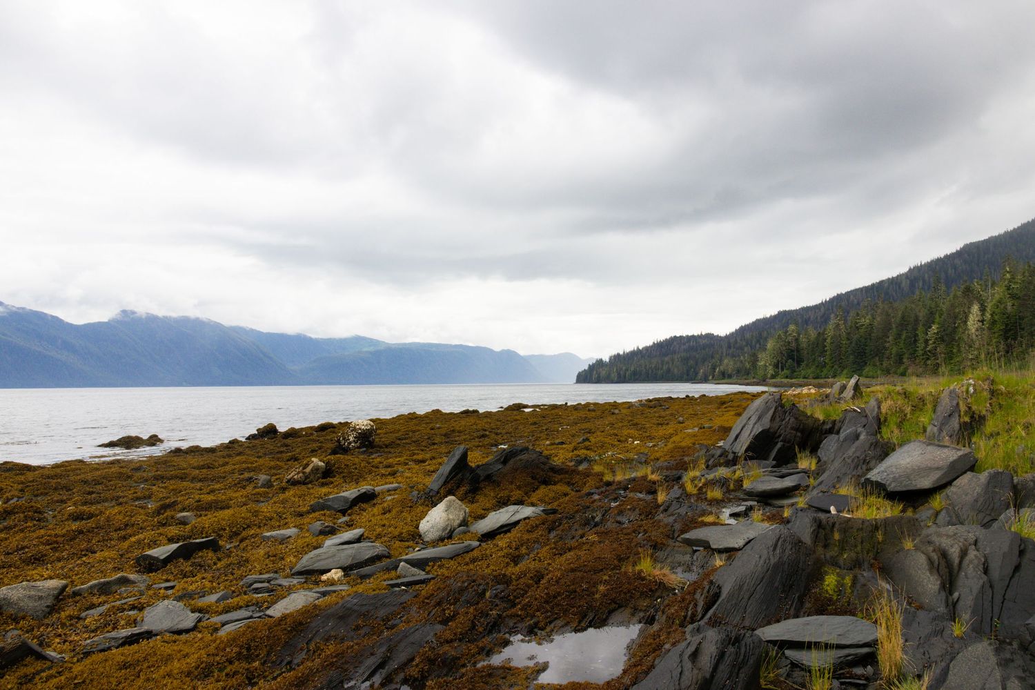 A panoramic view of rugged coastal terrain with rocky outcrops and mountains in the distance under cloudy skies.