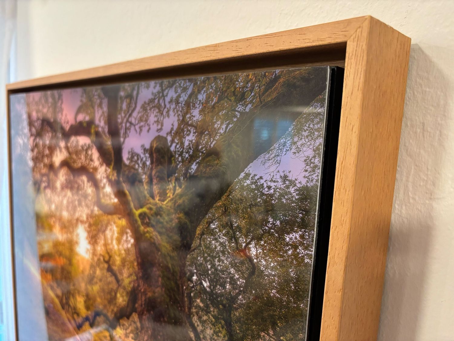 A collection of framed landscape photographs hanging on a white wall shows nature scenes in warm golden tones.