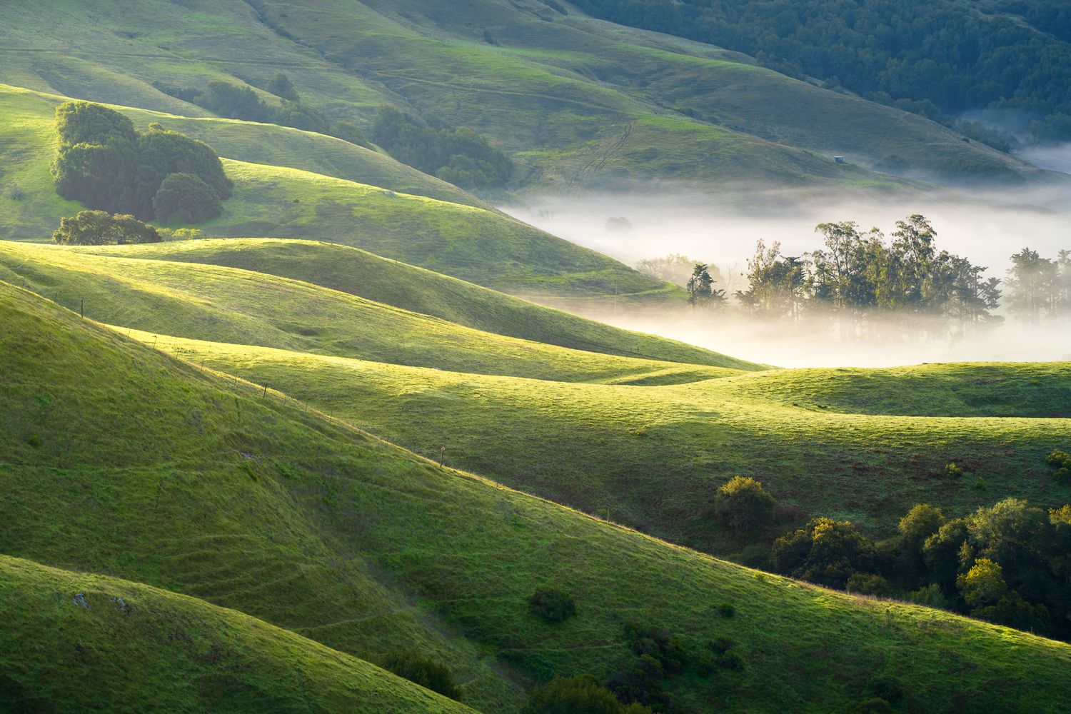 Rolling green hills with dramatic light and shadows creating a rural landscape on a foggy morning.  Photo by Jeff Lewis, landESCAPEvisuals.
