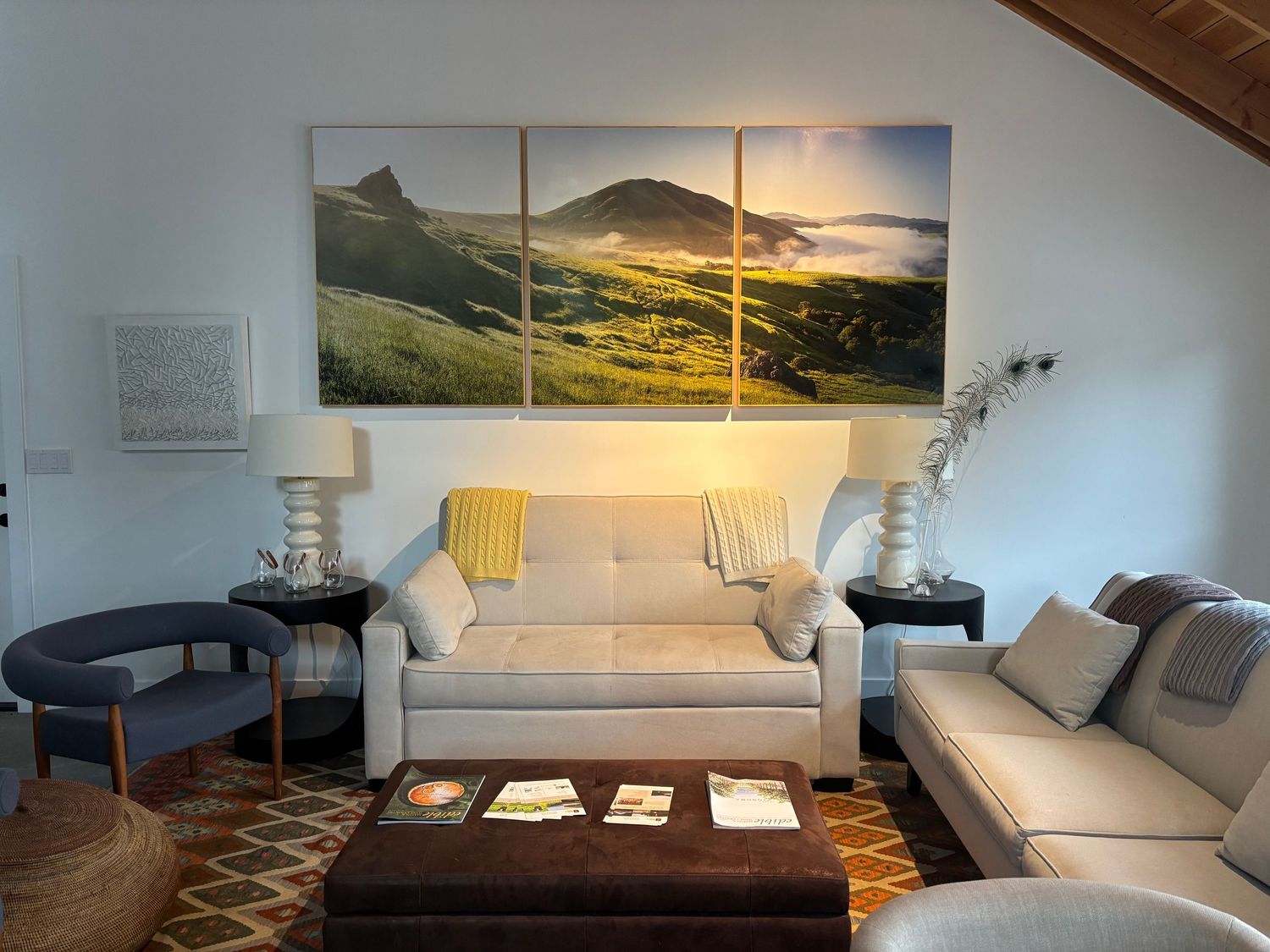 Modern living room interior decorated with large landscape photography prints. Mounted to wood panels and framed.