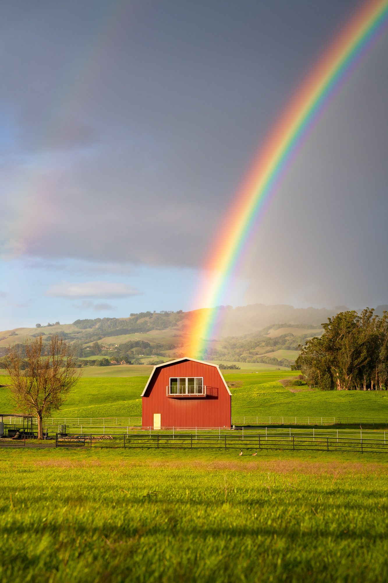 Vibrant rainbow over a red barn and green pasture in the countryside of Petaluma, Sonoma County. Photo by Jeff Lewis of landESCAPEvisuals.