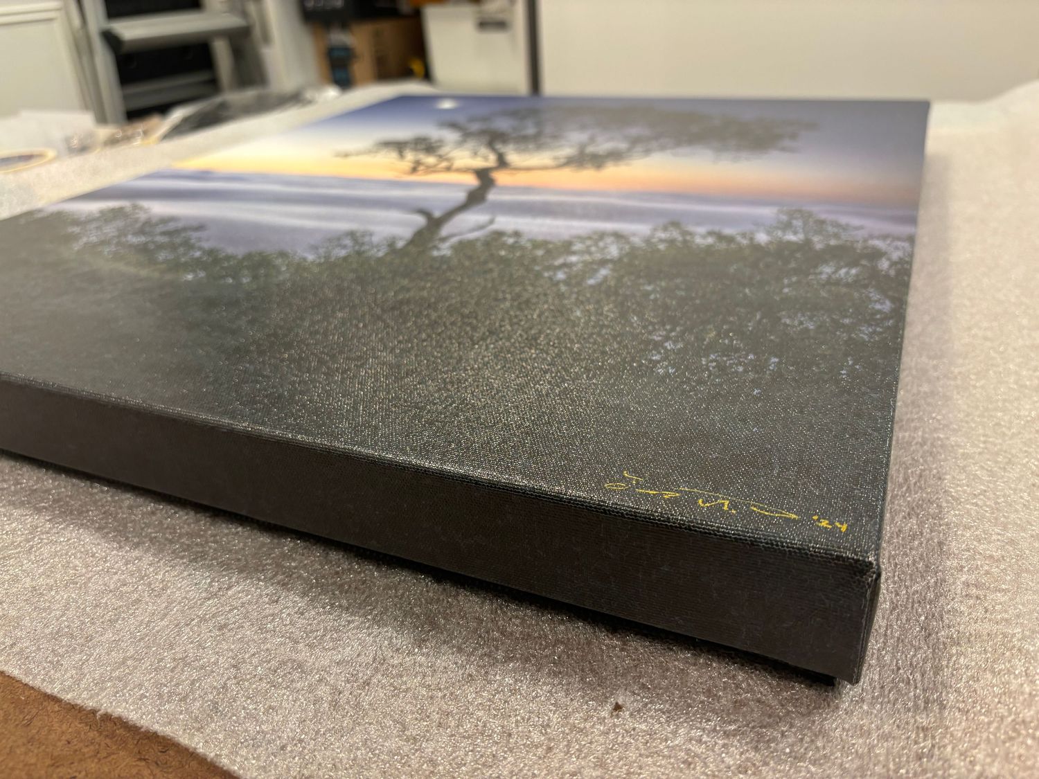 Detail shot of canvas print edges showing professional mounting and framing. Printed in Escaype Print Lab in Marin County.