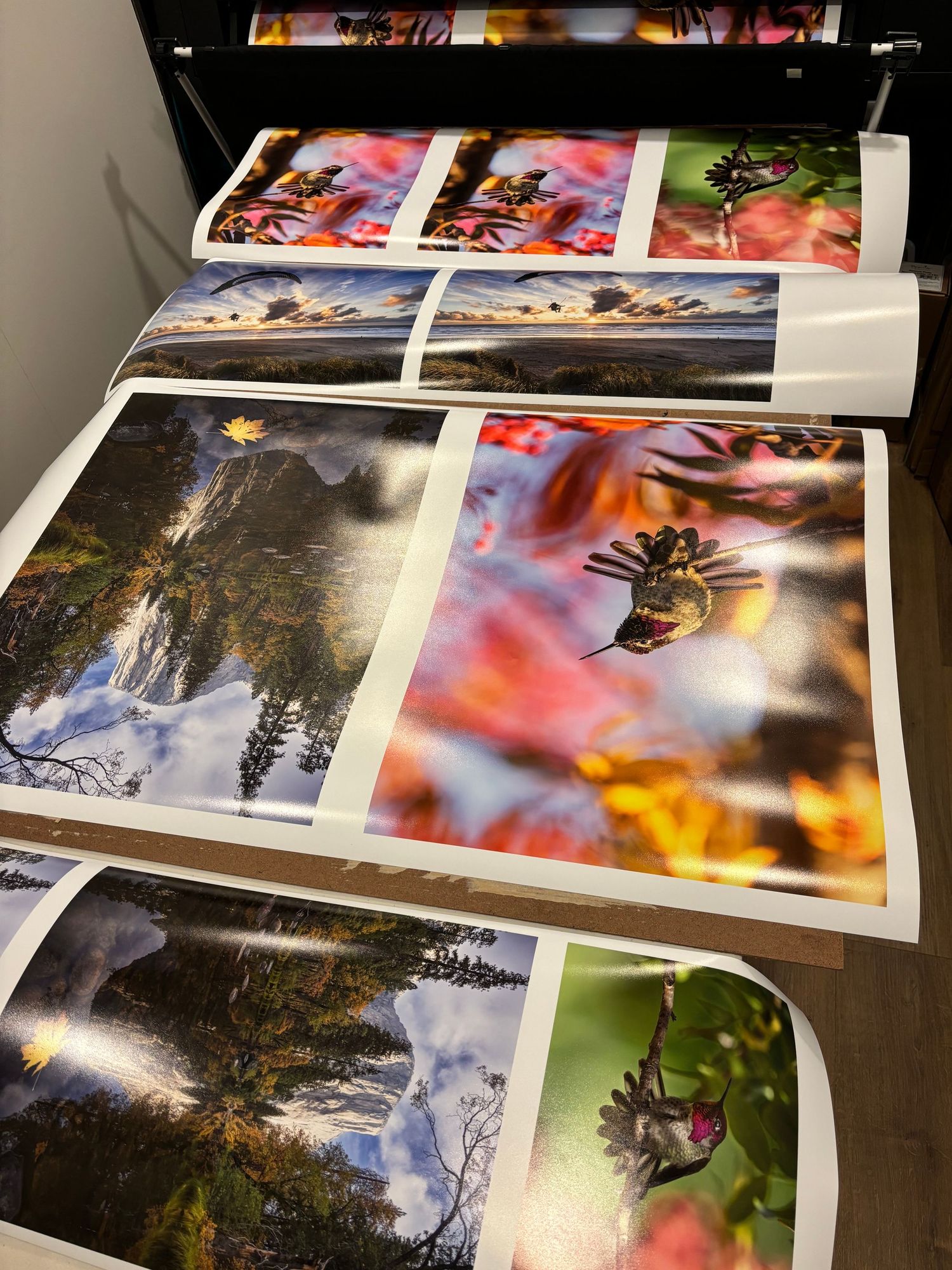 Collection of nature and landscape photography prints spread out on dark surface. Printed in the Escaype Print Lab in Marin County, CA