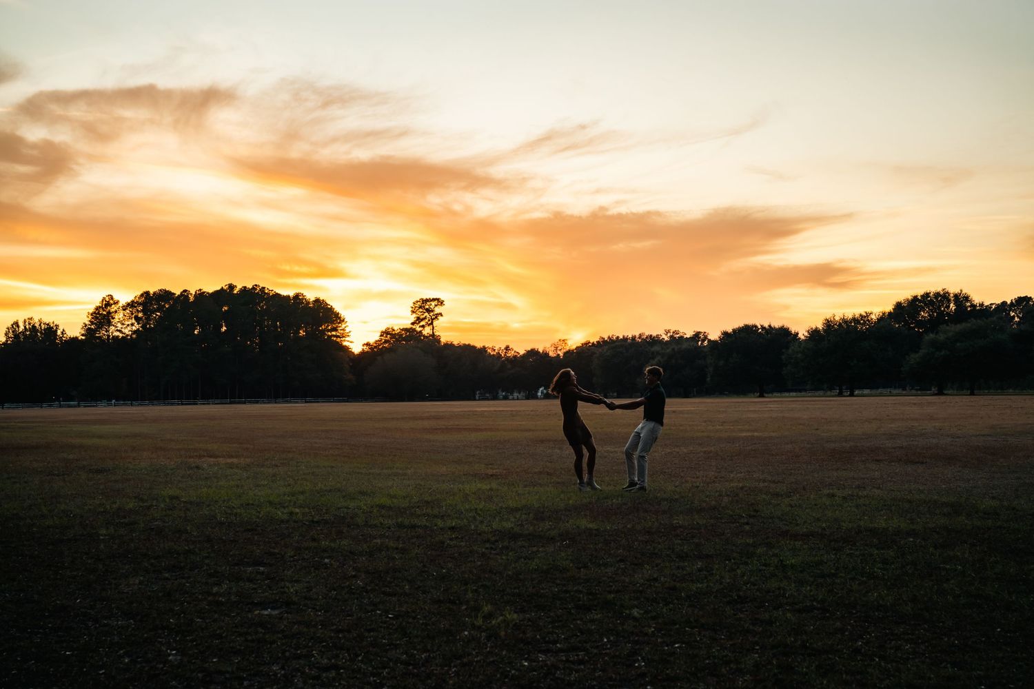 A horse silhouetted against a vibrant orange sunset sky in a rural field.