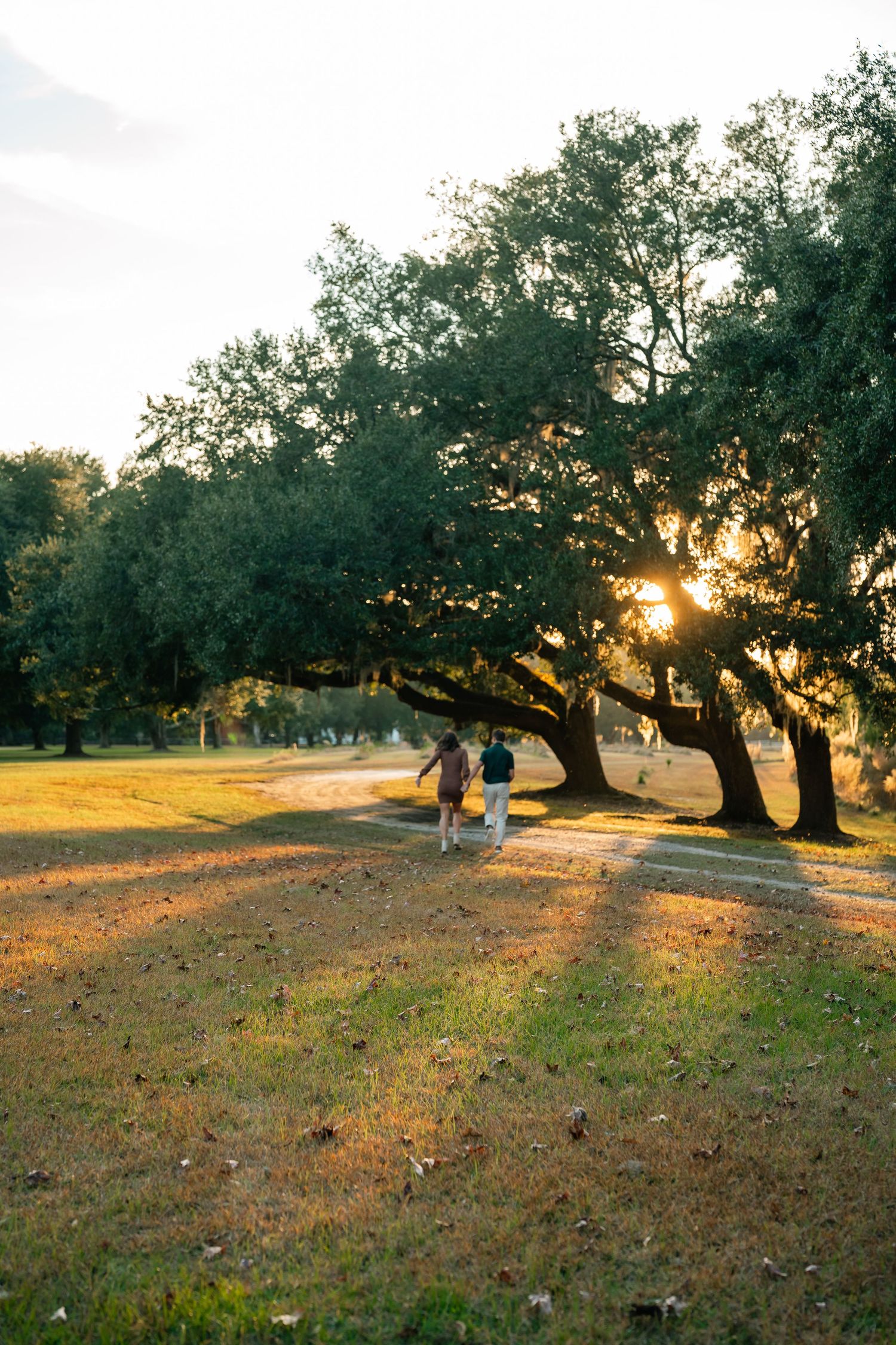 Two people stand beneath a majestic oak tree at sunset in a grassy field as golden light filters through branches.