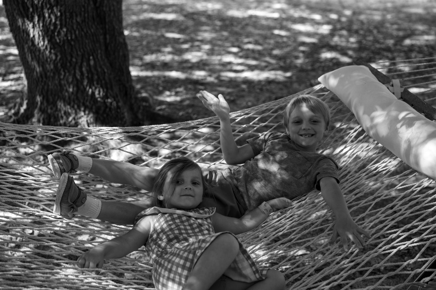 People relaxing in hammocks under dappled sunlight in a peaceful outdoor setting.