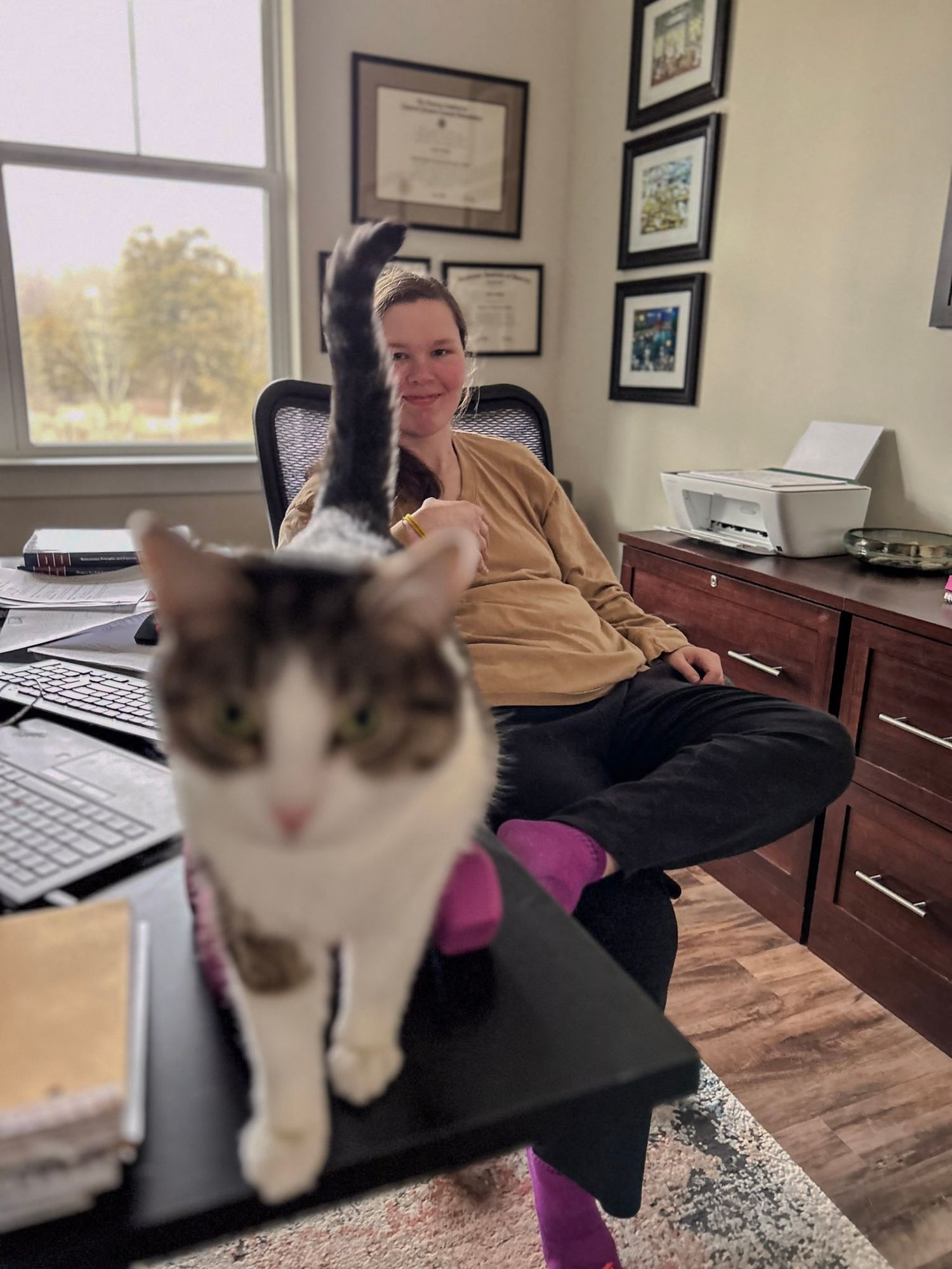 Cat walking across desk with office equipment and framed certificates on wall.