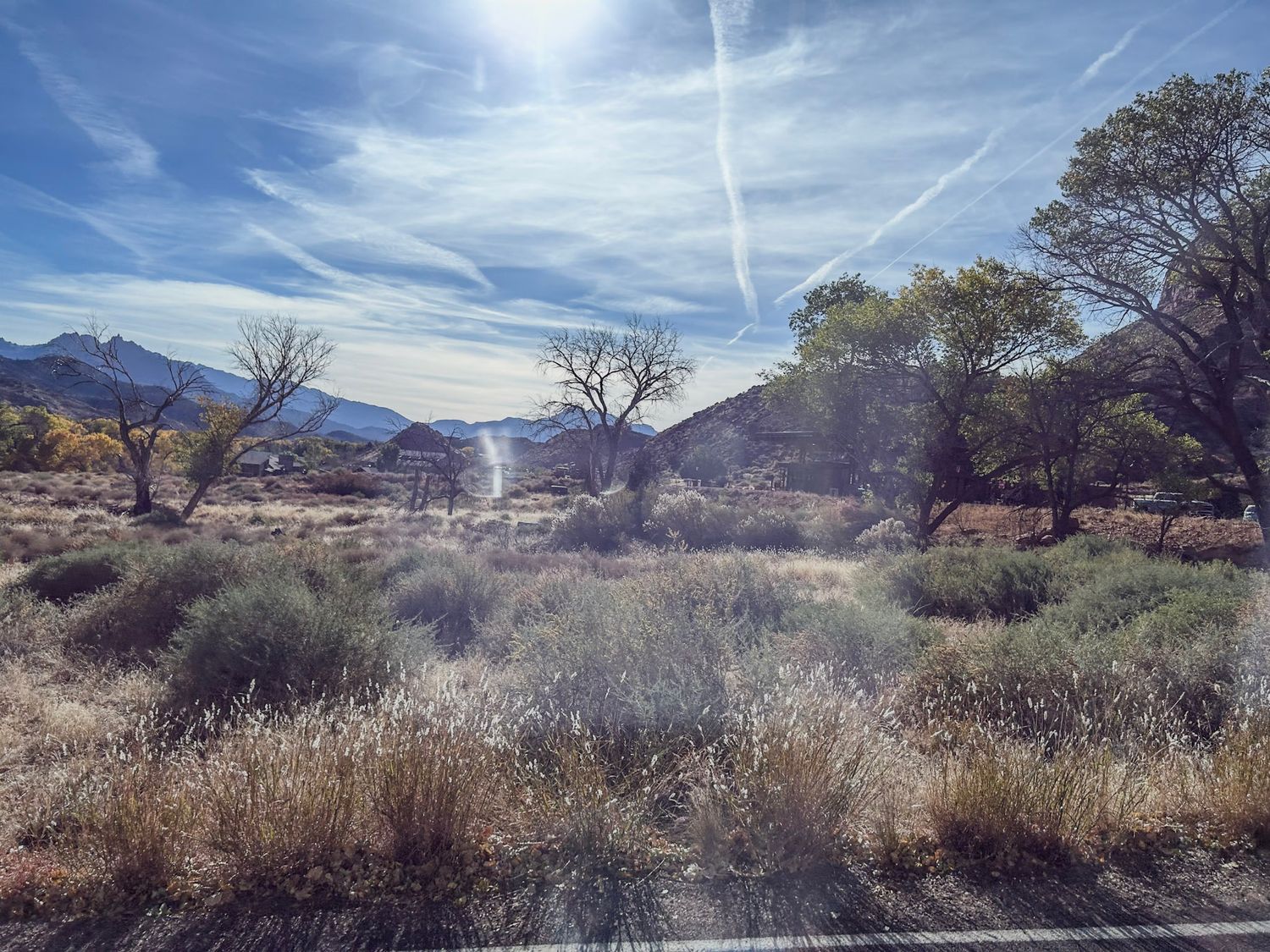Desert landscape with bare trees and mountains under bright sunlight and wispy clouds.