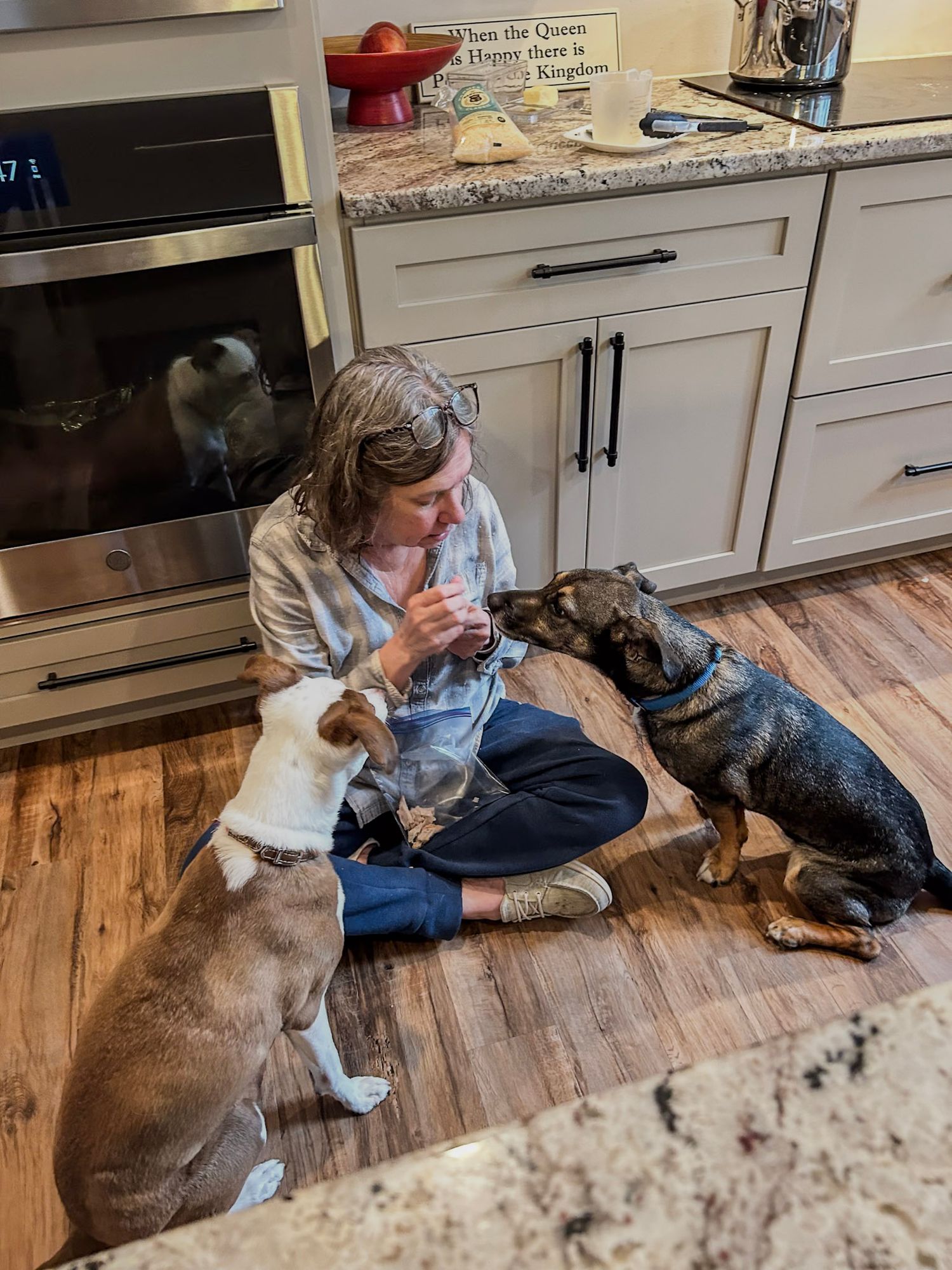 Multiple pets lounging together on hardwood floor near kitchen cabinets.