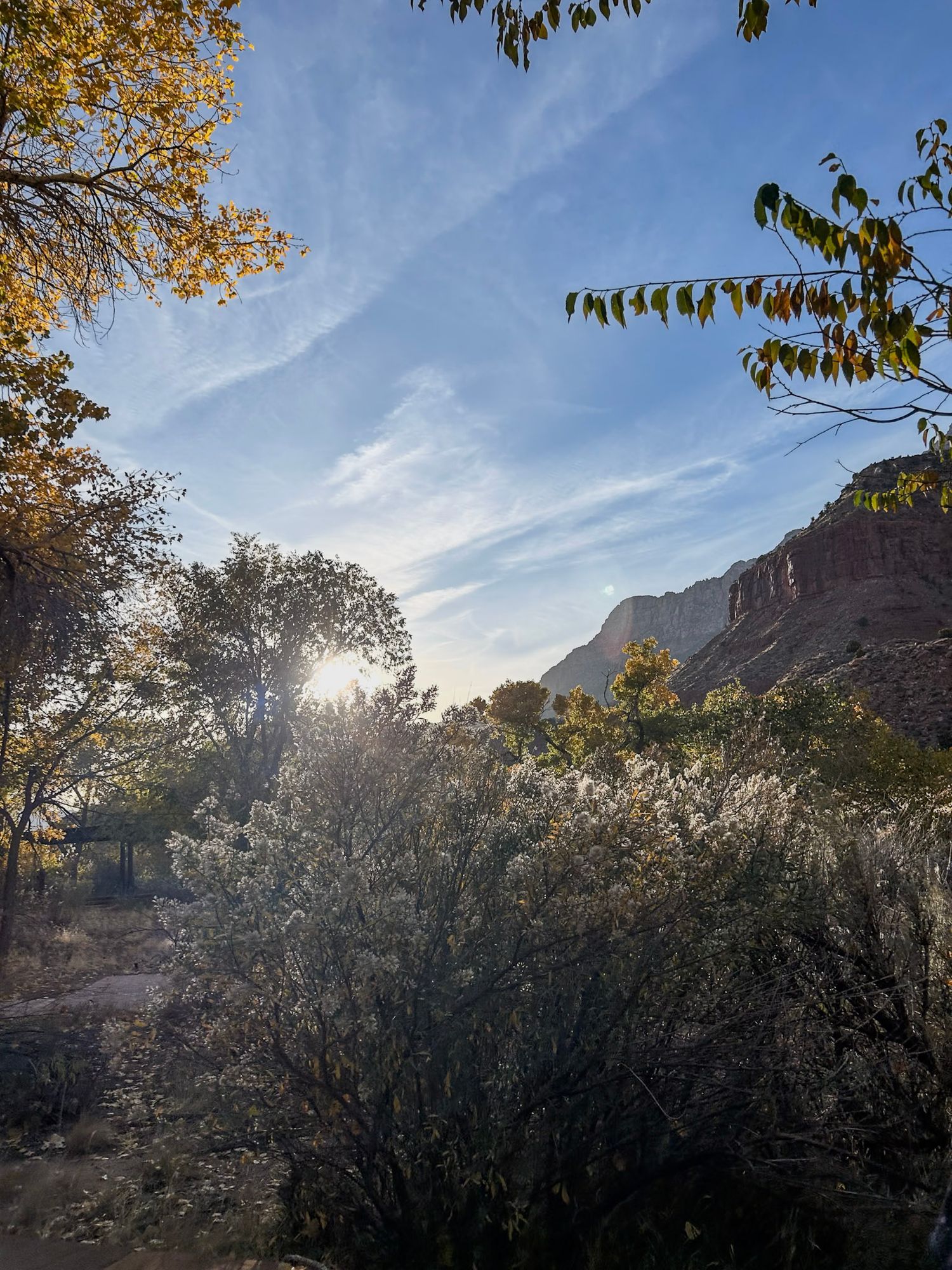 Sunlight streaming through autumn trees with red rock cliffs in the background.