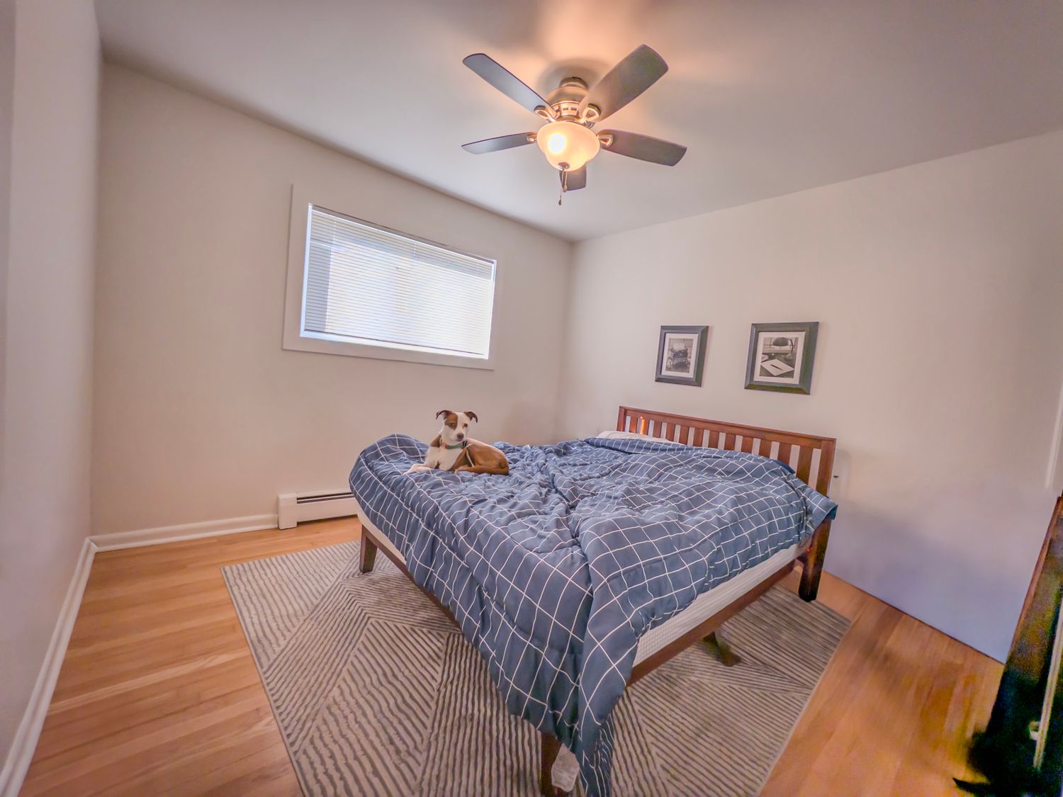 Cozy bedroom interior with ceiling fan, hardwood floors, and natural lighting from windows.