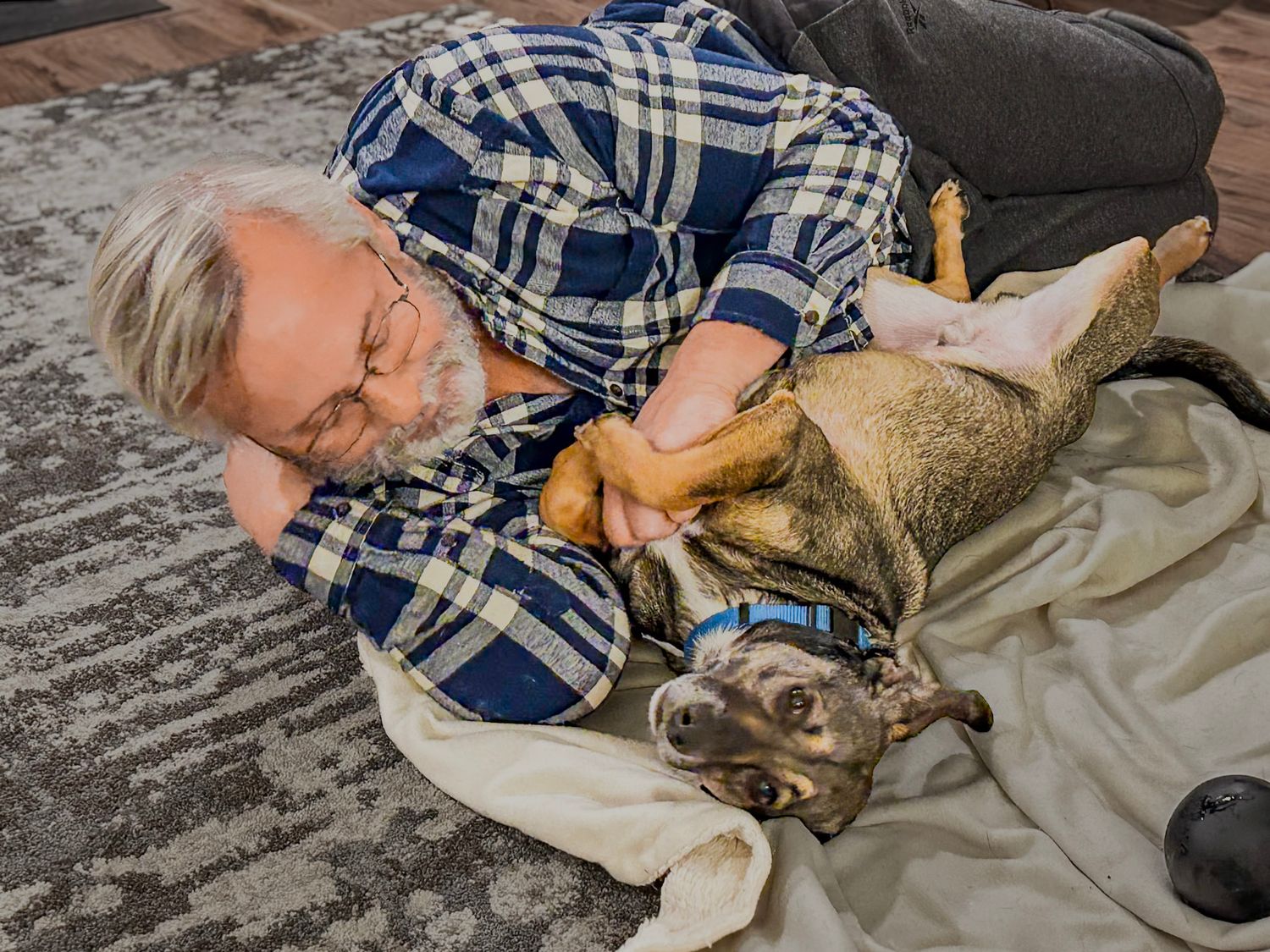 Cat lounging comfortably on a bed while wearing a blue plaid shirt.