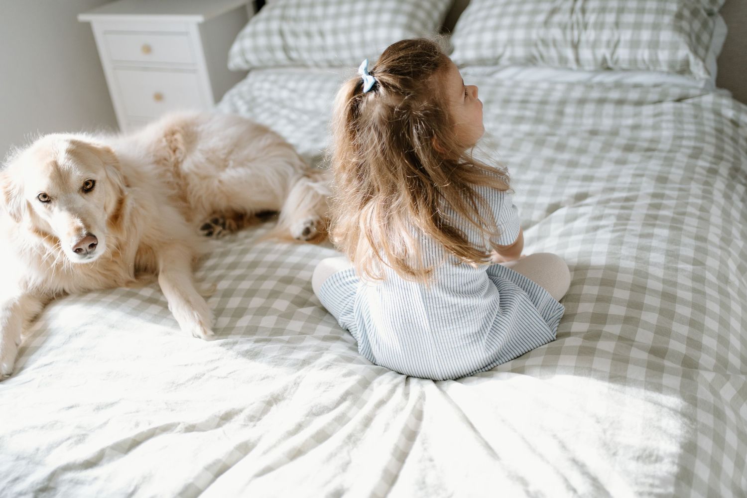 Young girl with hair clip sitting on a plaid bed beside a golden retriever dog in a bright cozy bedroom.