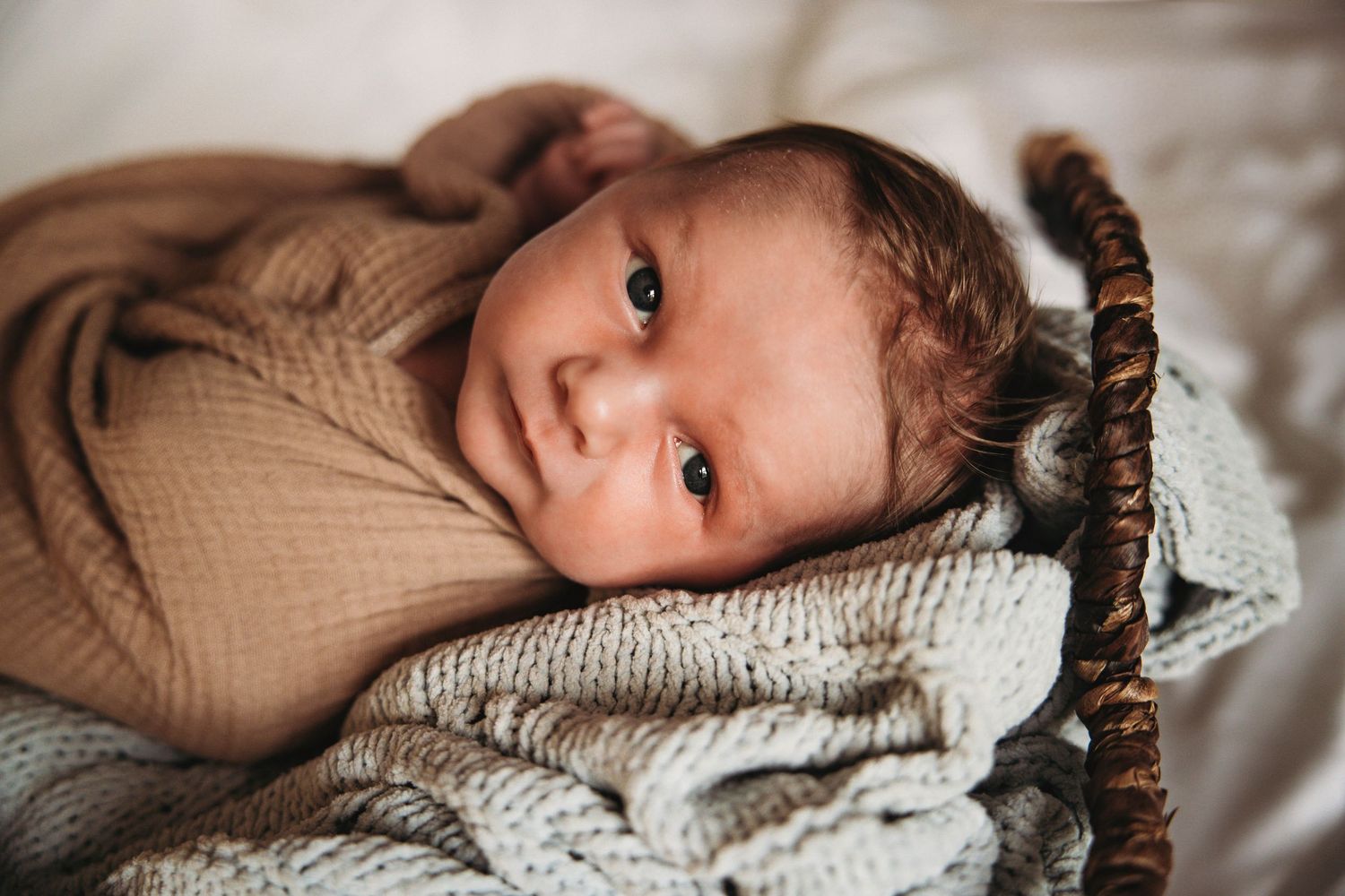 Photography - Newborn