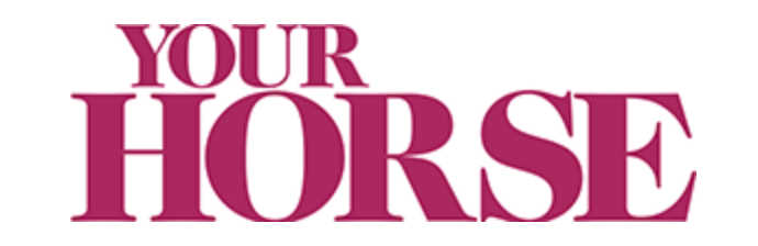 Pink text reading 'YOUR HORSE' in large stylized letters against a white background.