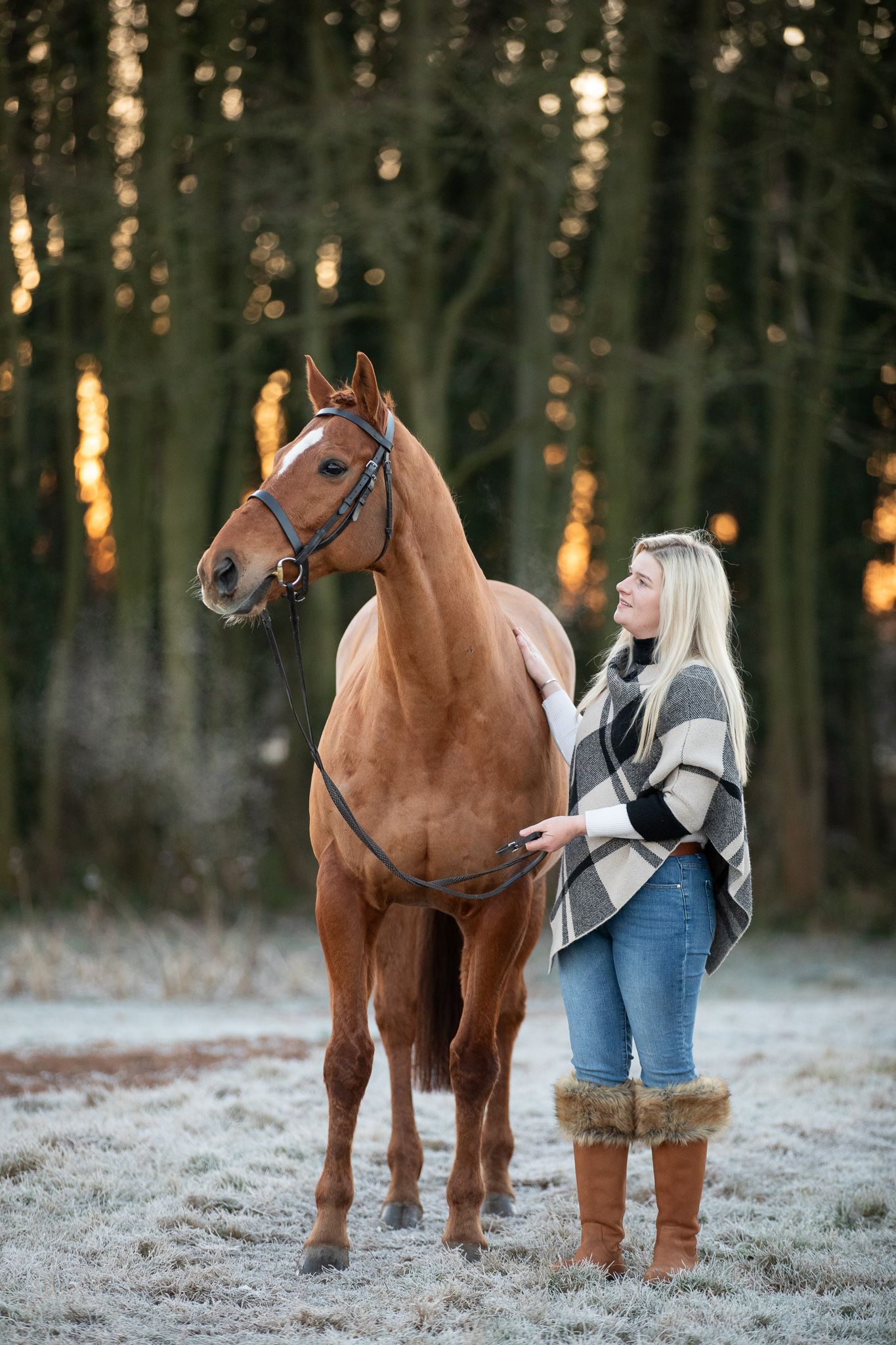 A majestic chestnut horse poses with its handler in a frosty winter forest scene.
