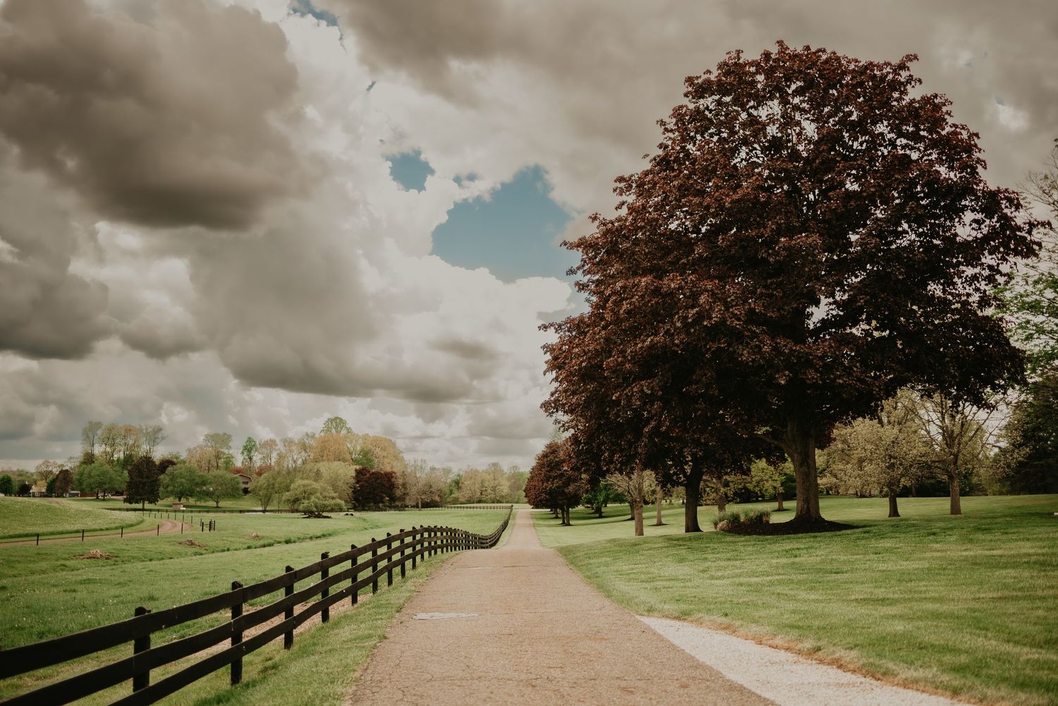 A tree-lined path with wooden fences stretches into the distance under dramatic clouds.