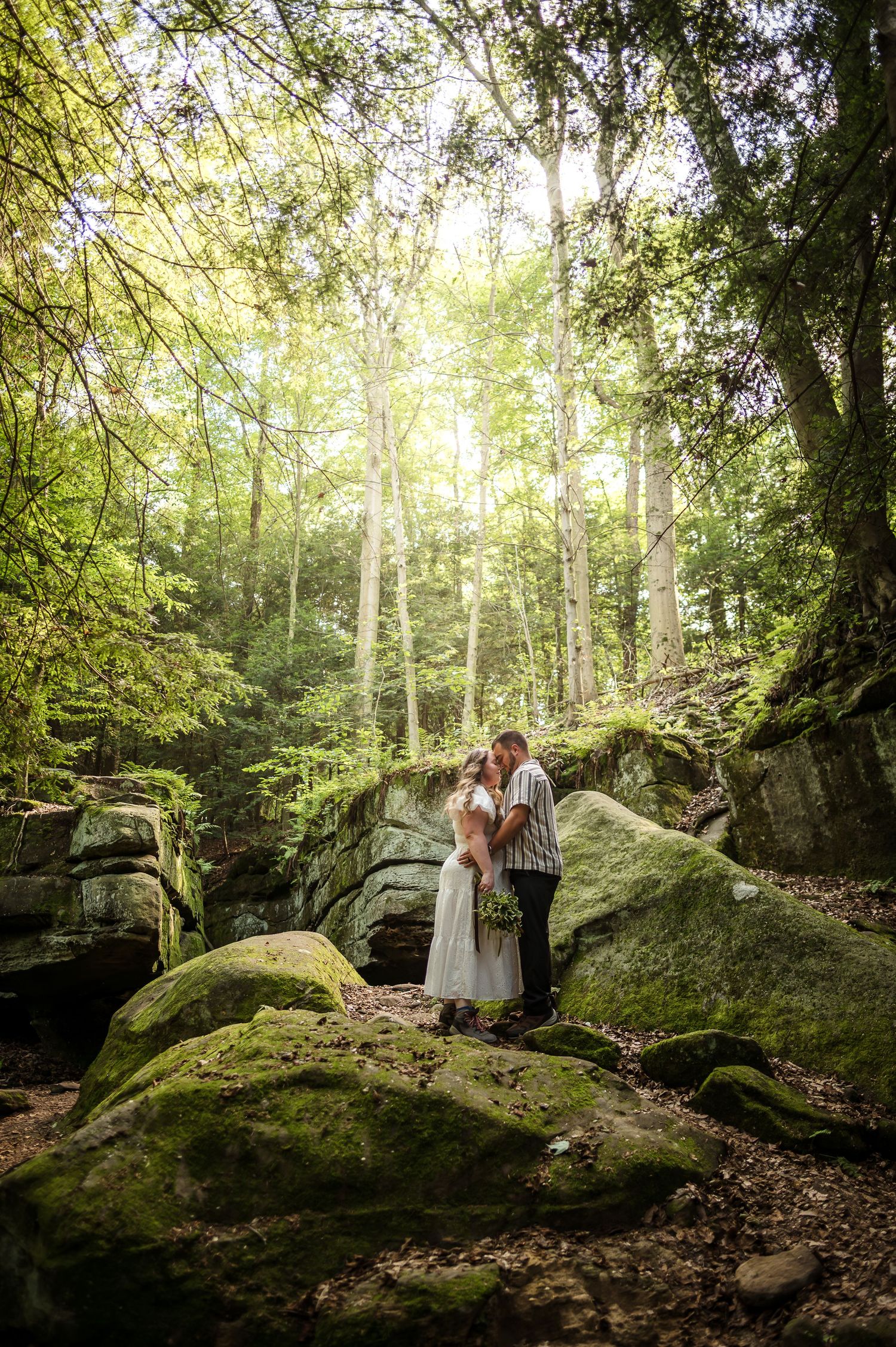 Sunlight filters through trees onto moss-covered rocks in a magical forest setting.