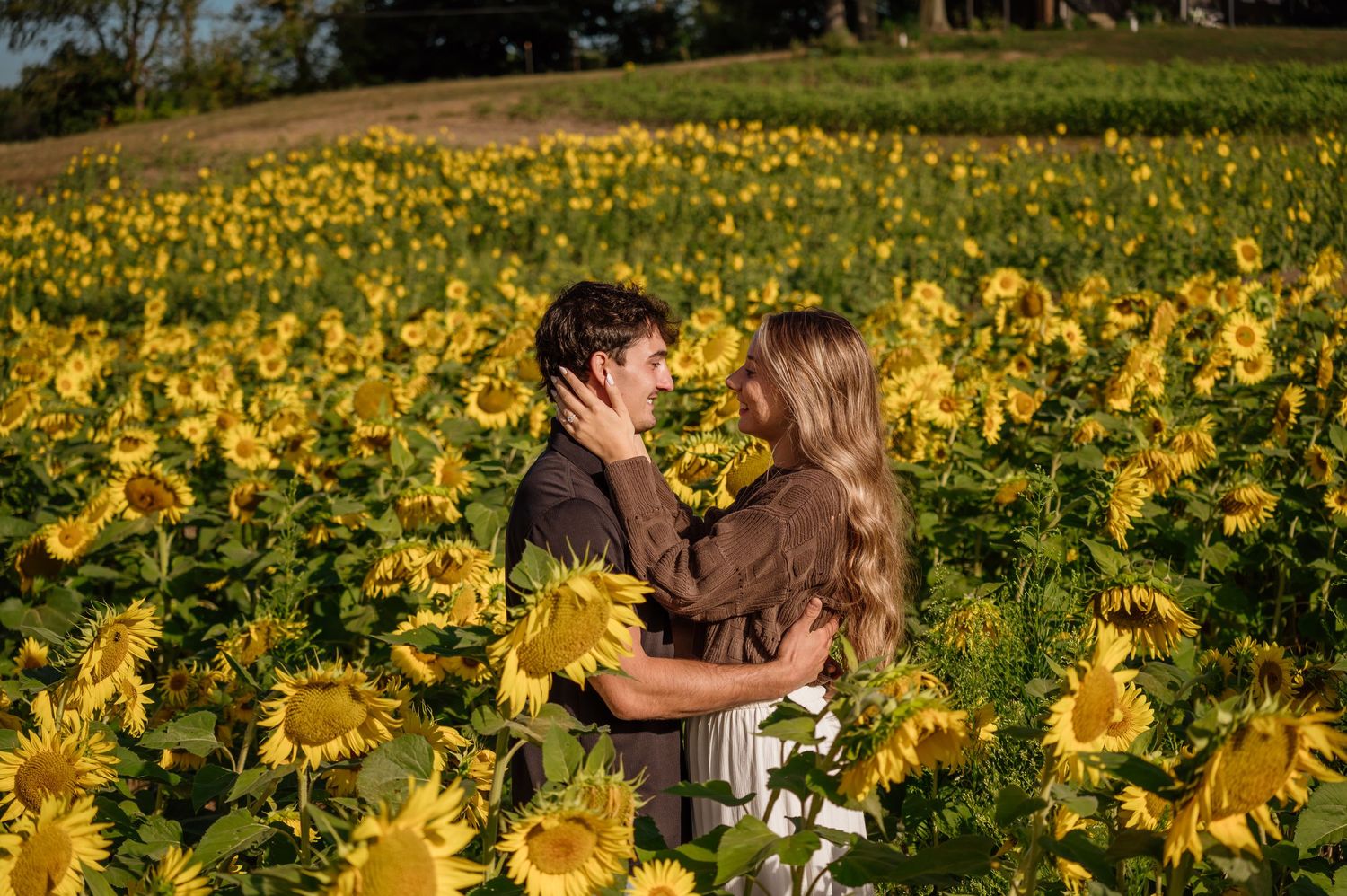 Couple embracing in a field of bright yellow sunflowers during golden hour in Mogadore, Ohio.