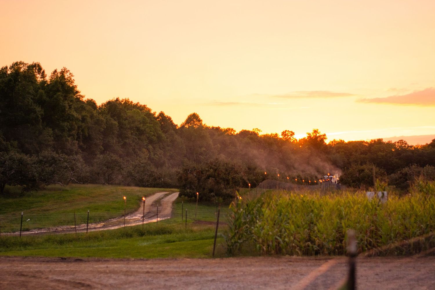 A winding dirt road leads through a rural countryside landscape at sunset with golden light illuminating the scene.
