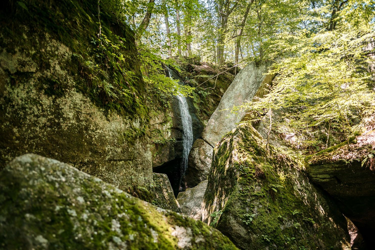 Scenic waterfall cascades down mossy rocks in a lush green forest setting during summer.
