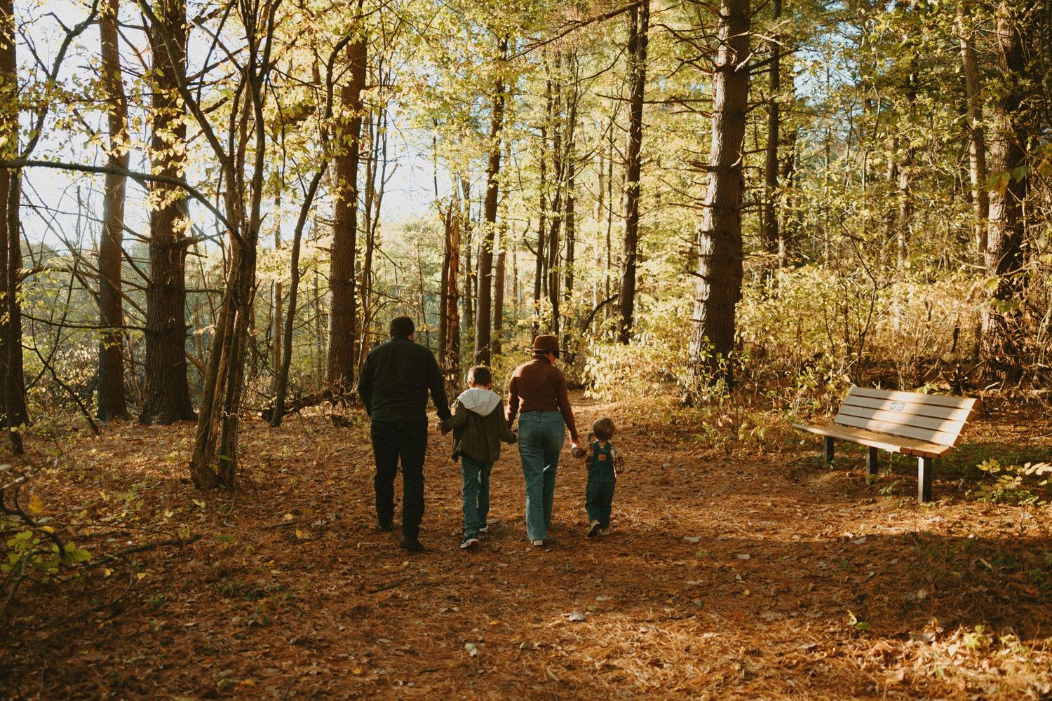 Three people walking hand in hand on a forest trail during autumn.