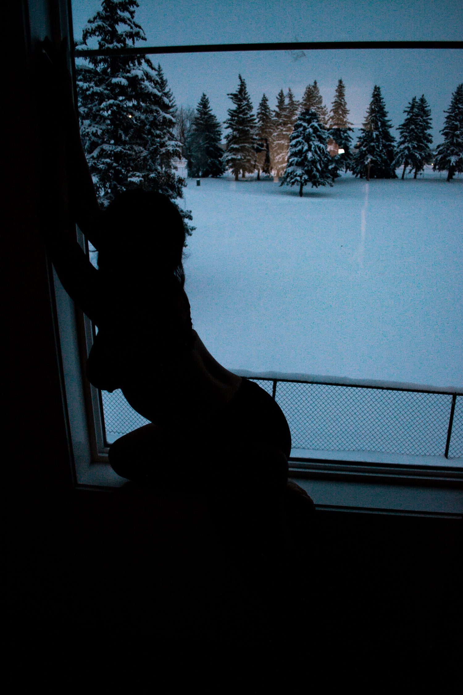 Dramatic side profile silhouette against snow-covered pine forest vista.