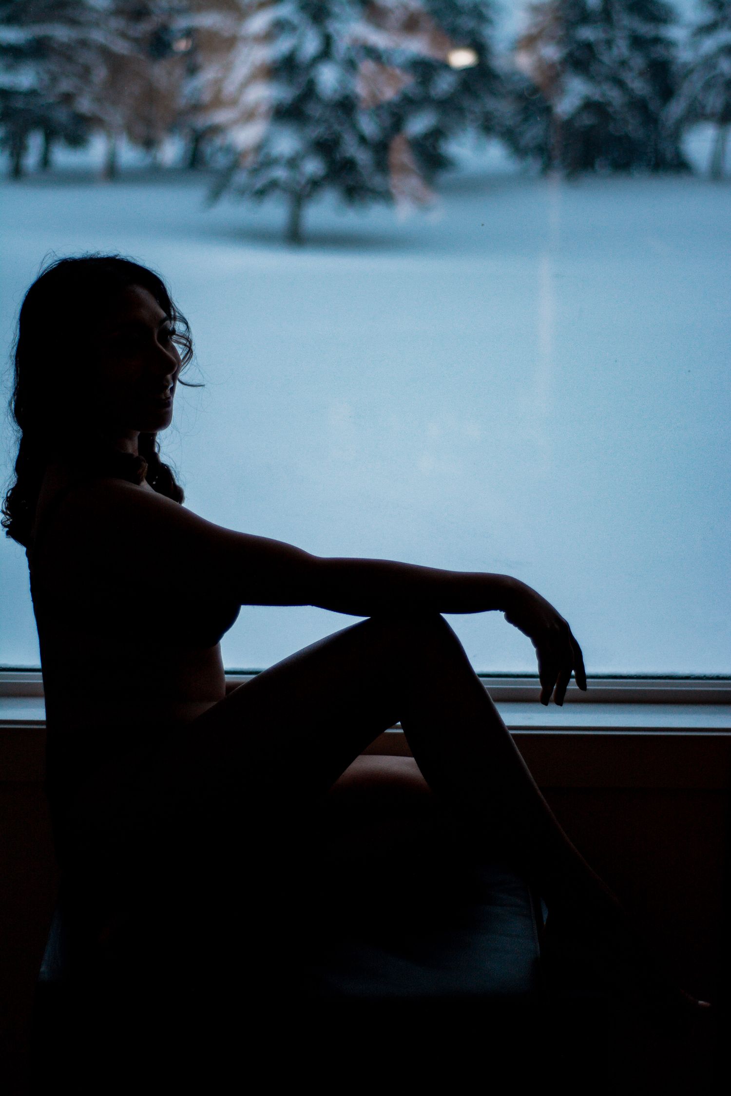 Silhouetted person sits contemplatively by window with winter forest scene outside.
