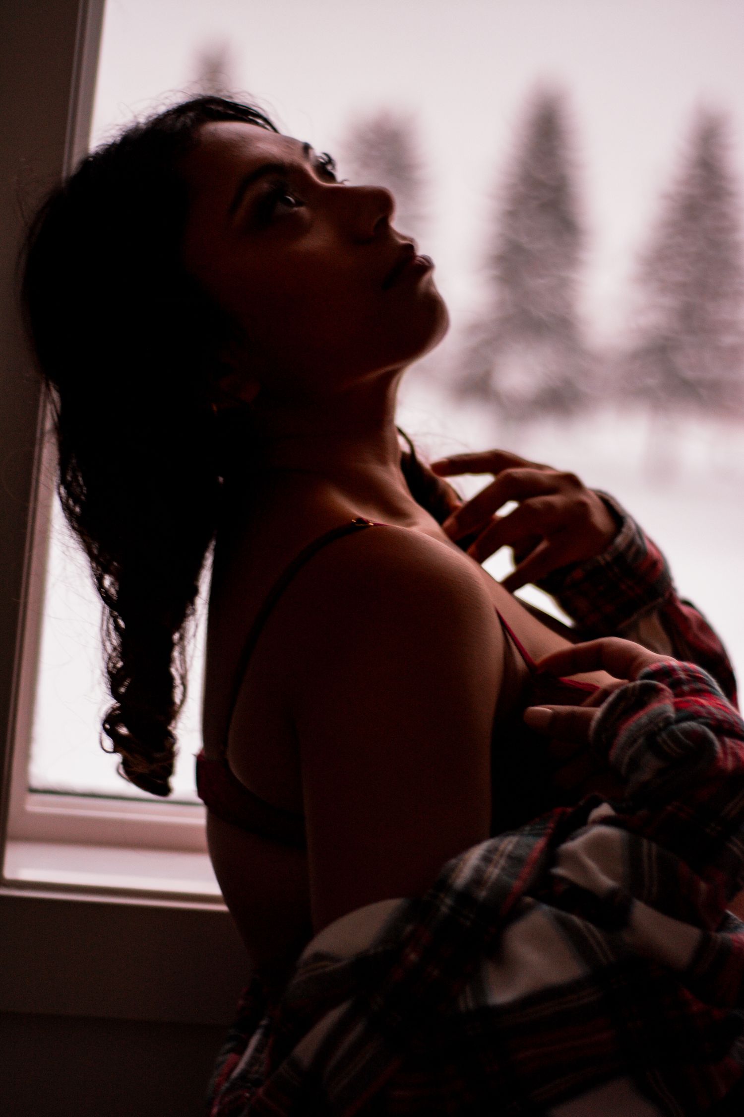 Dramatic silhouette portrait against window with winter forest scene beyond.