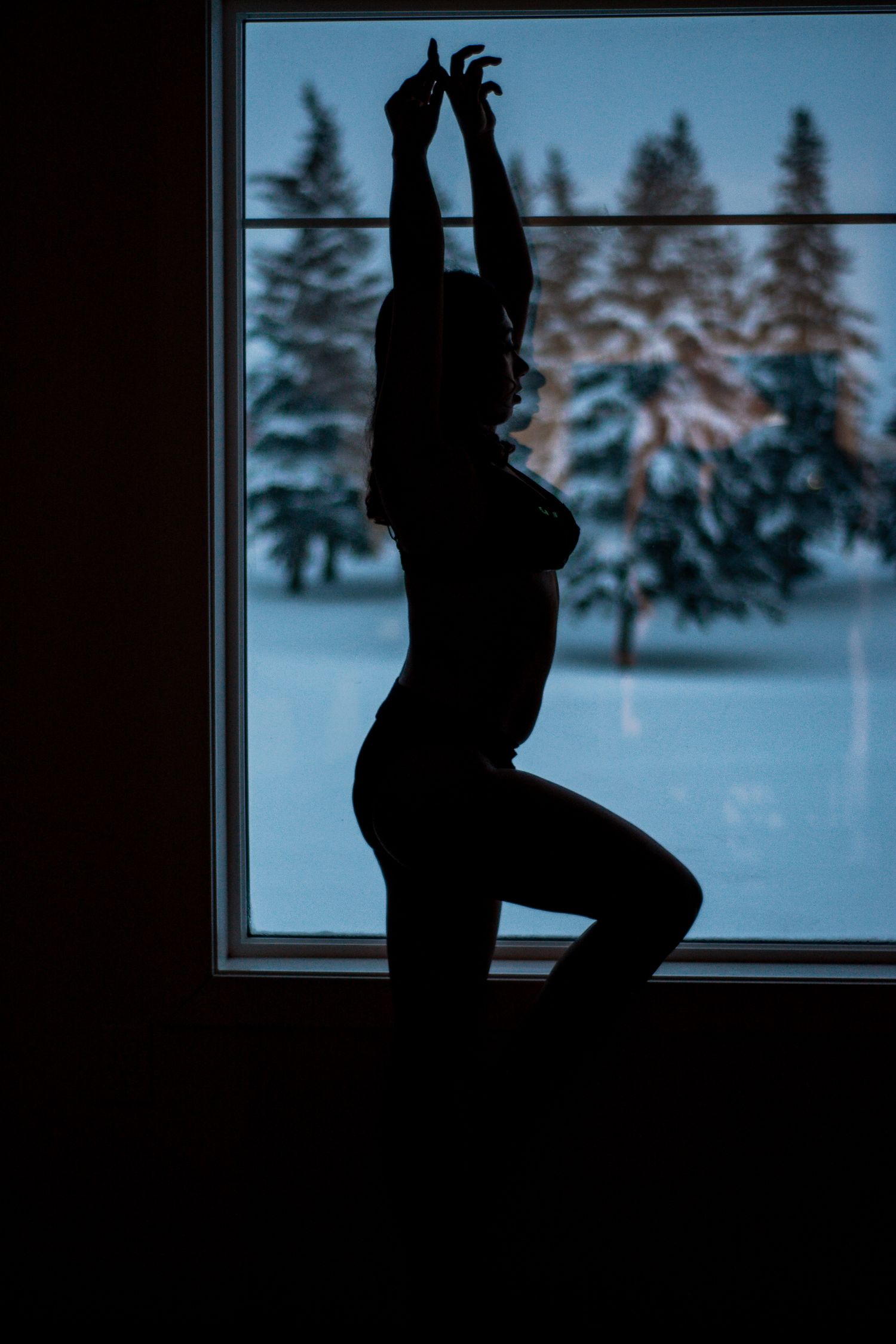 Artistic silhouette strikes dance pose against wintry forest backdrop.