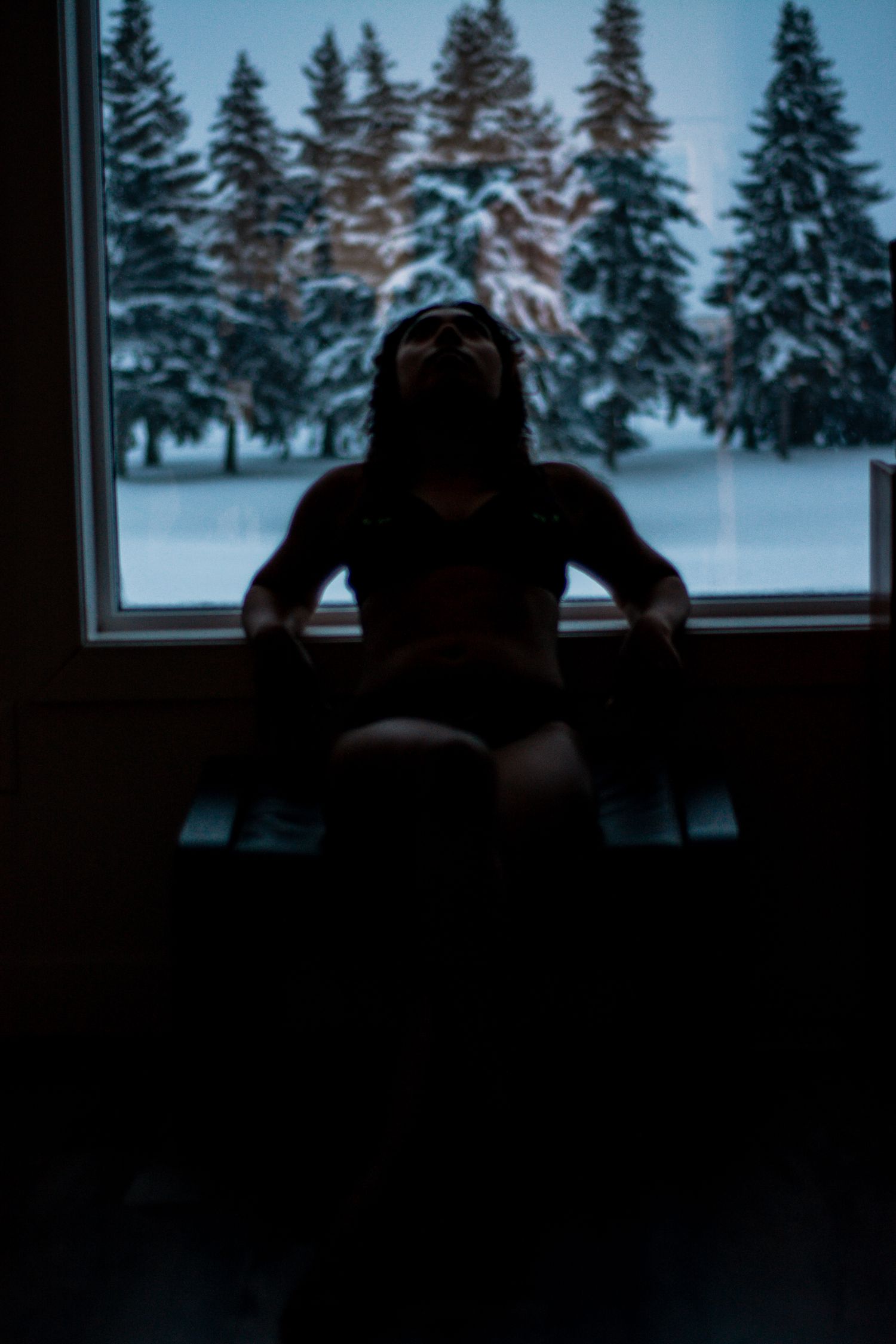 Dark silhouette against window overlooking snow-covered pine trees at dusk.