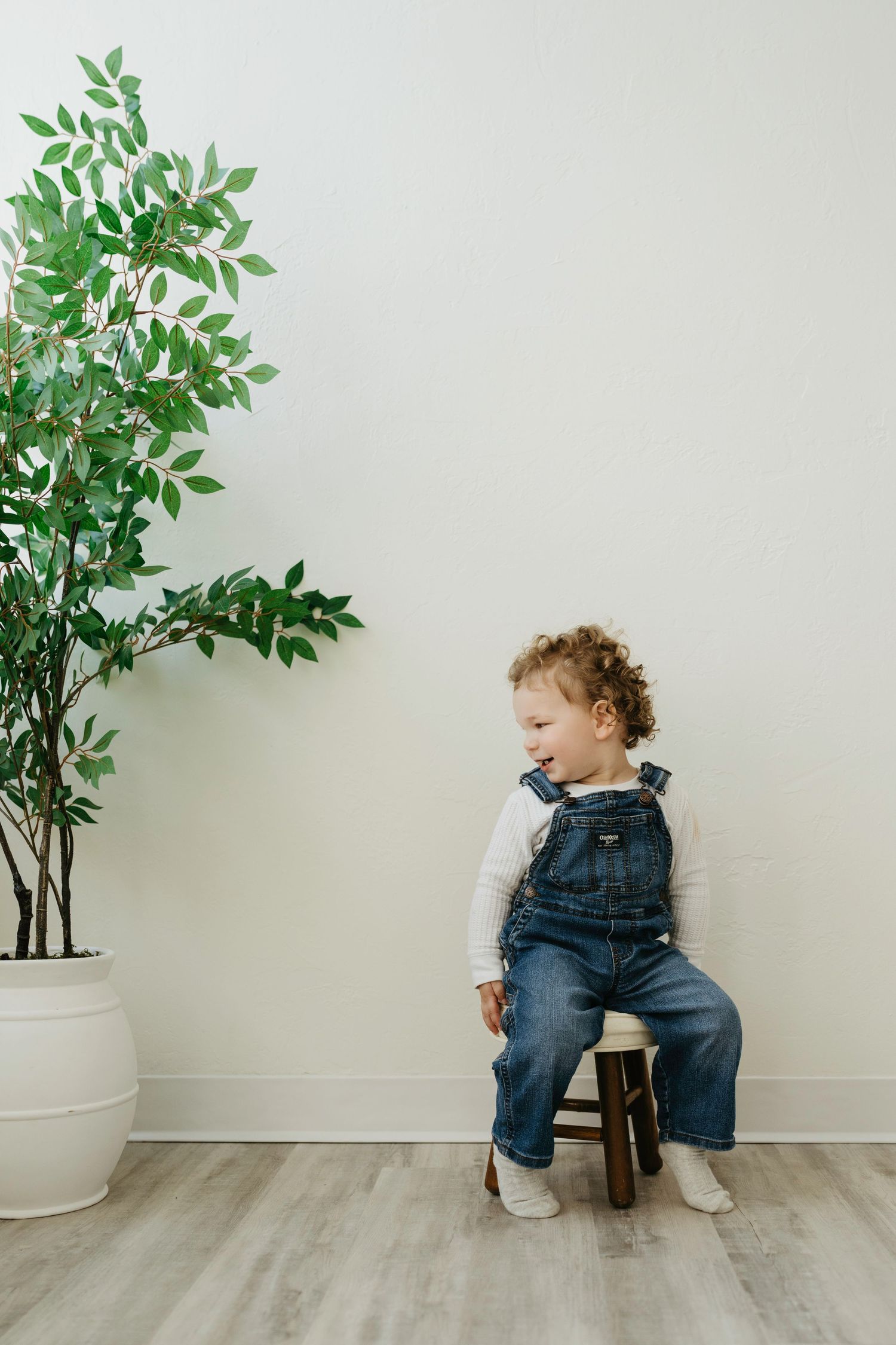 Toddler in denim overalls sitting on a small wooden stool beside a potted green plant against a white wall.