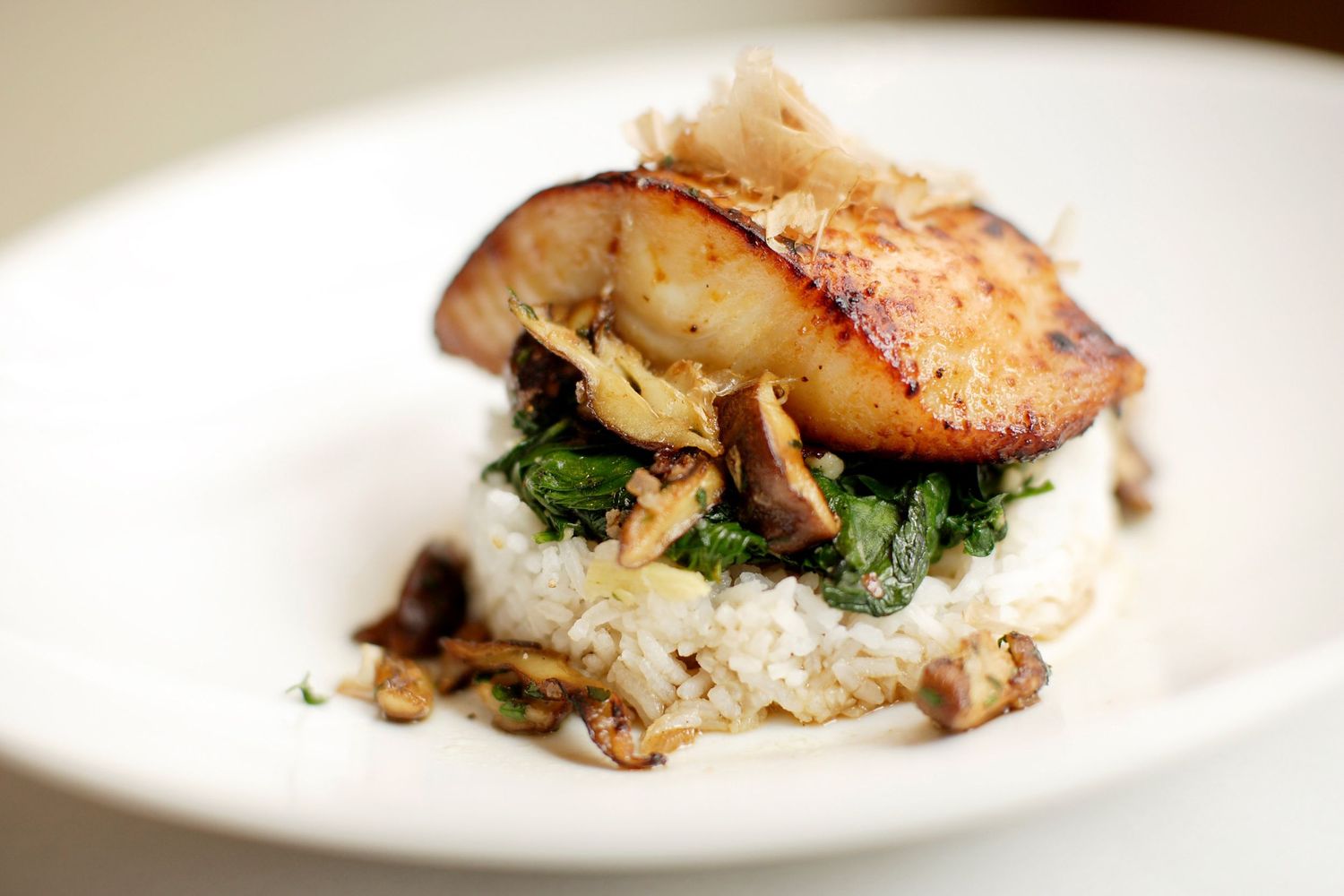 Pan-seared fish fillets plated elegantly on white dishes with delicate garnishes.