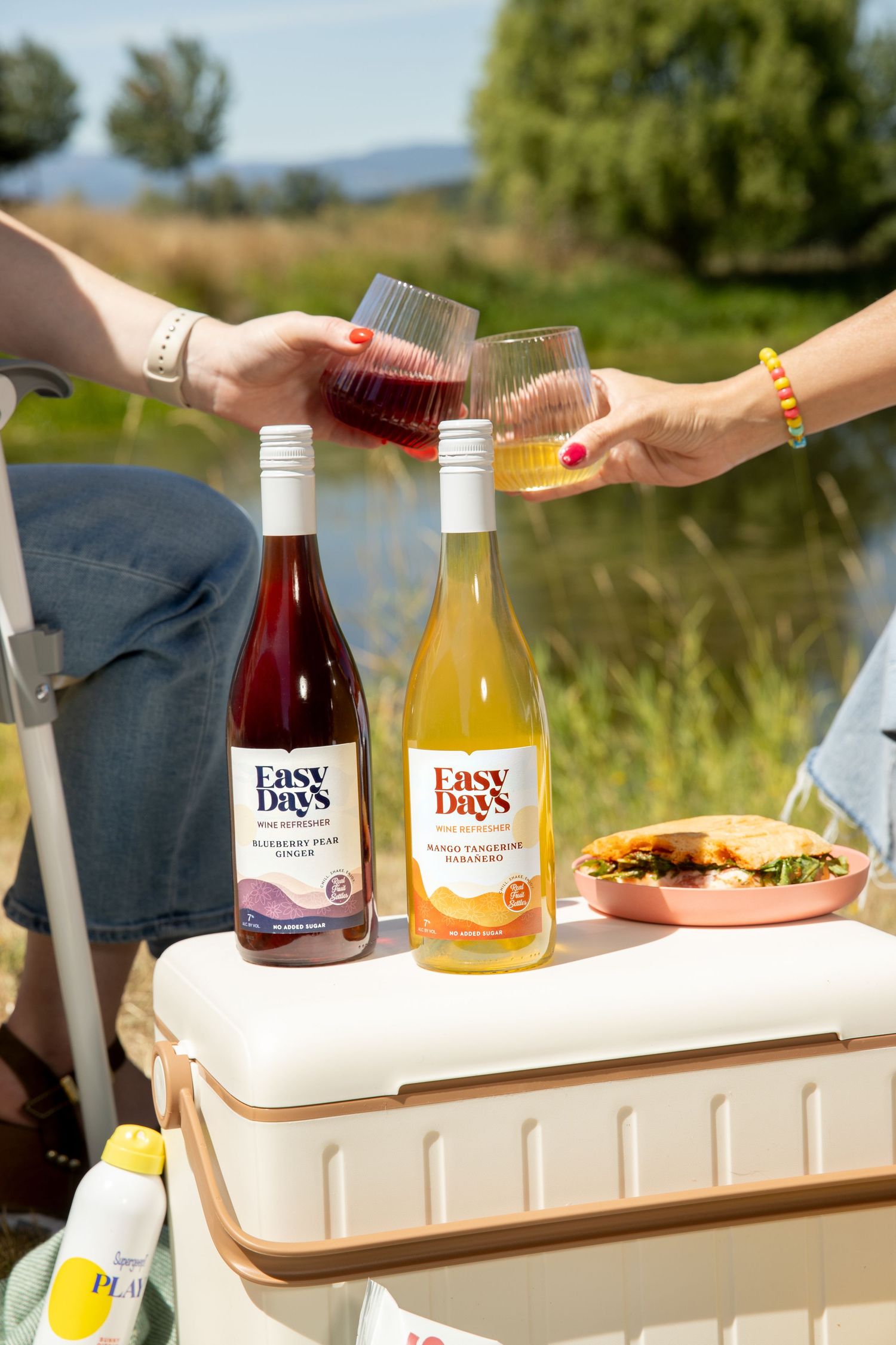 Two hands toast with glasses of Easy Day's wine over a cooler holding two bottles and a sandwich at a sunny lakeside picnic.