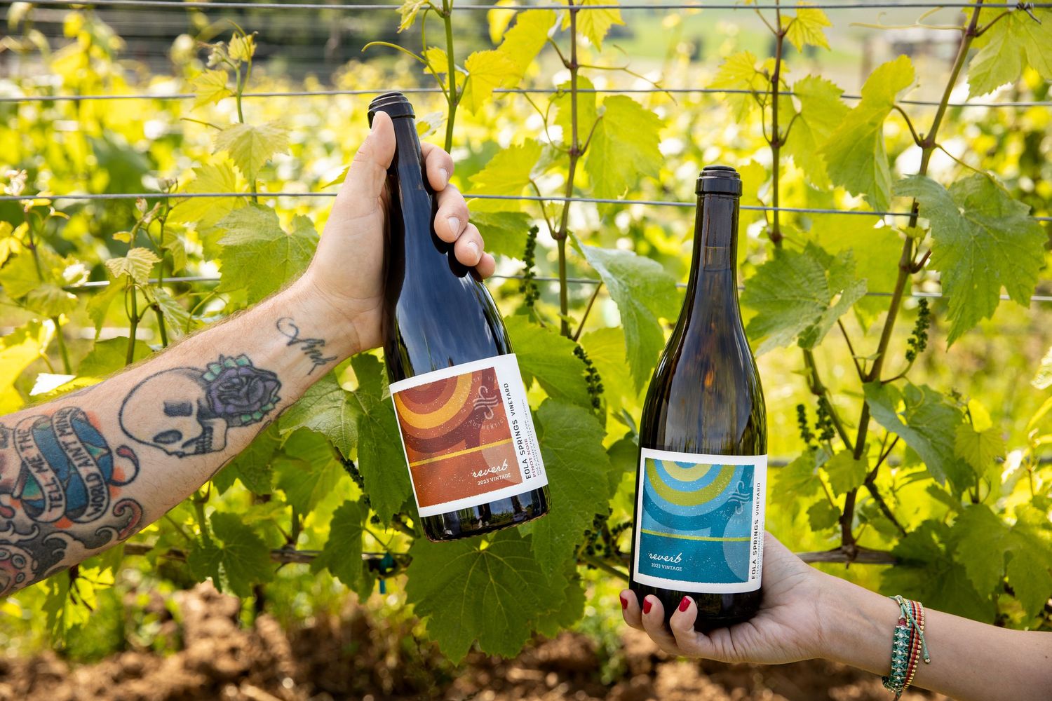 Two hands hold up bottles of red and white wine with colorful labels among sunlit green grapevines in a vineyard.