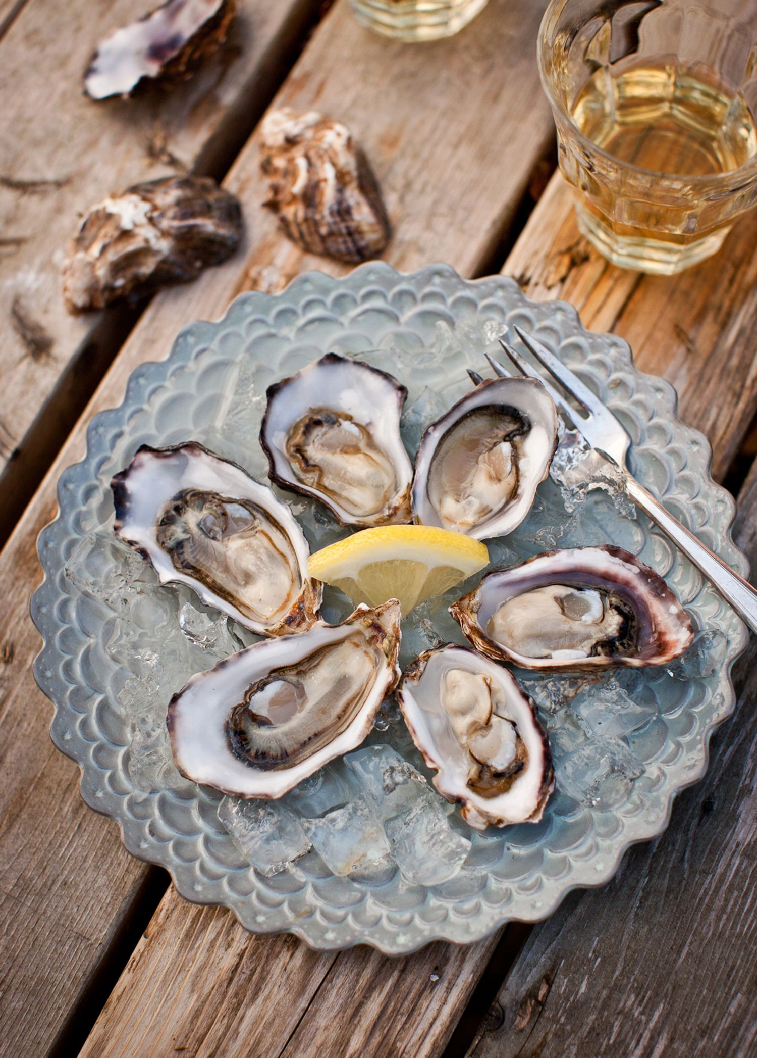 Fresh oysters on the half shell arranged on decorative blue plates with lemon wedges.