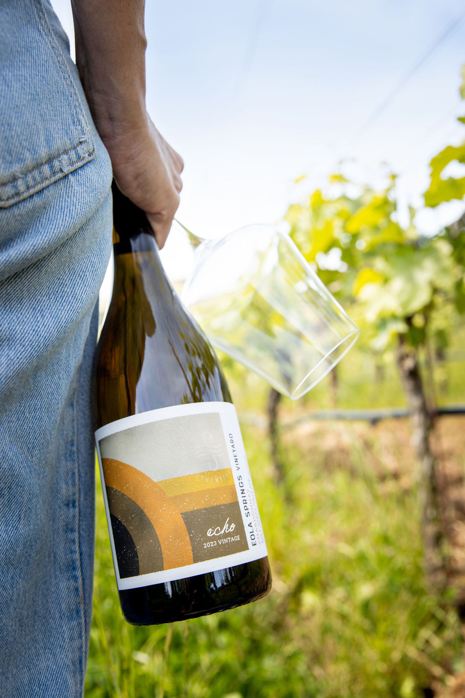 Person in jeans holding a bottle of Echo wine and a wine glass while standing in a sunlit vineyard with green grapevines.