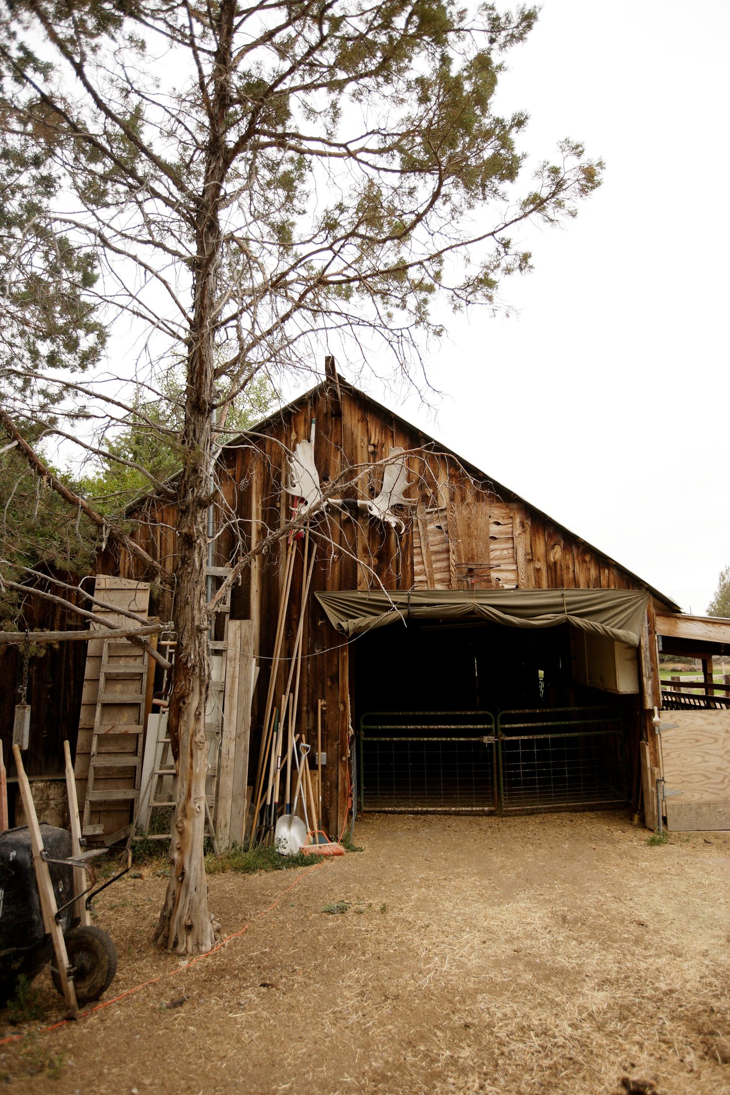 Weathered wooden barn with rustic tools and equipment stored against its walls.