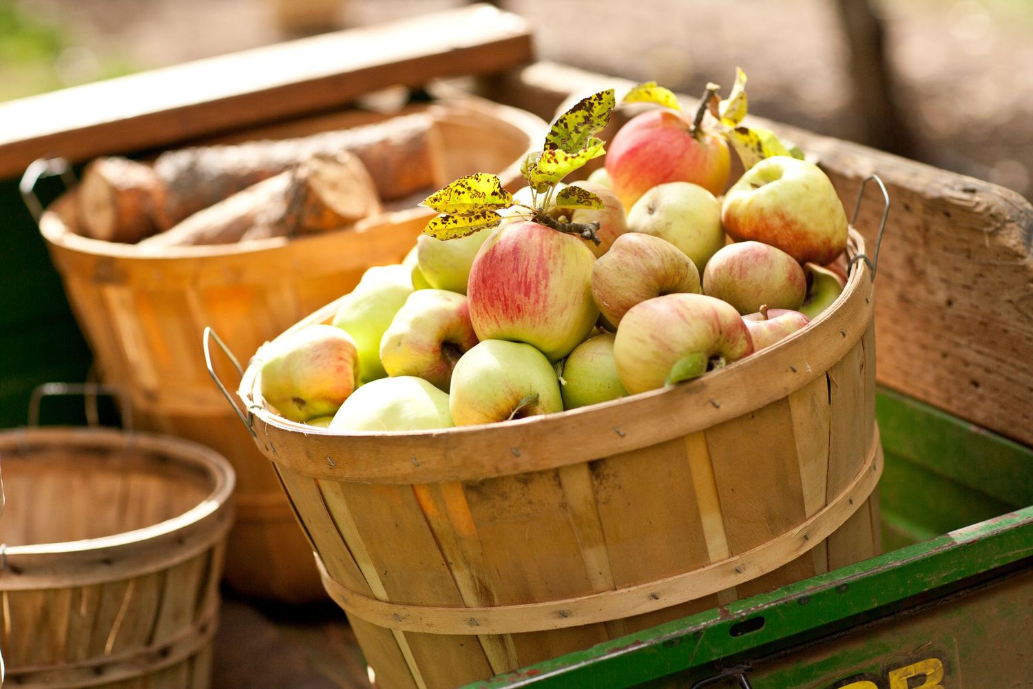 Fresh apples in wooden harvest basket at farmers market.