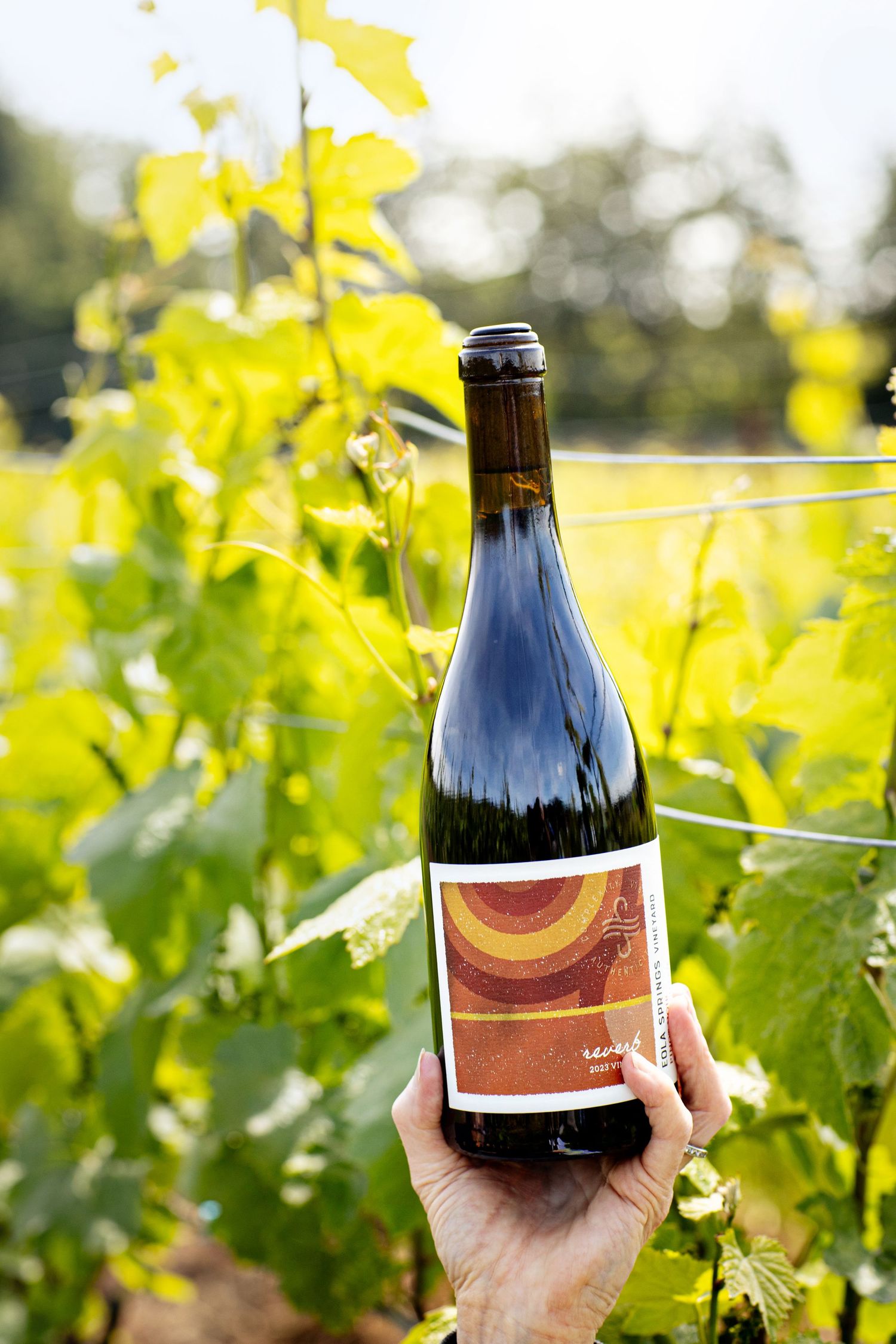 Hand holding a dark glass wine bottle with an orange and red label among sunlit green grapevine leaves in a vineyard.