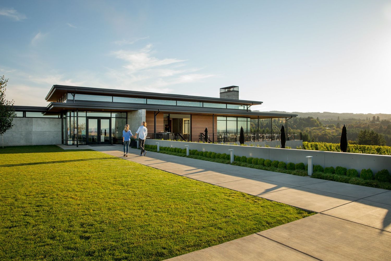 Modern winery building with glass walls and expansive lawn at sunset.