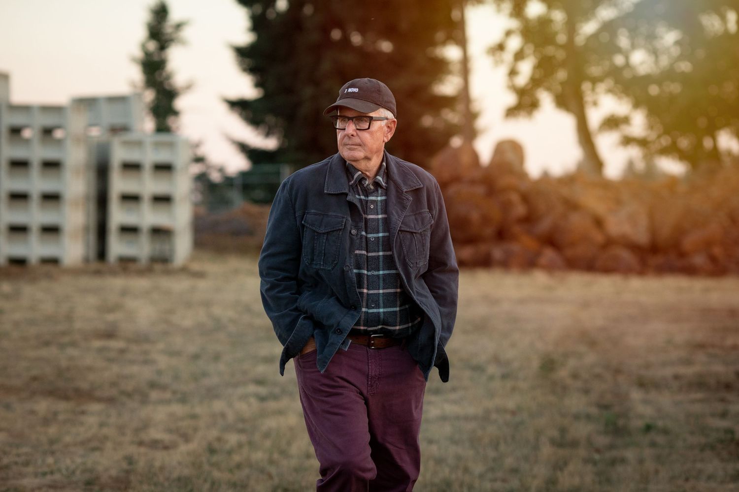 Person walking through vineyard during golden sunset with buildings in background.