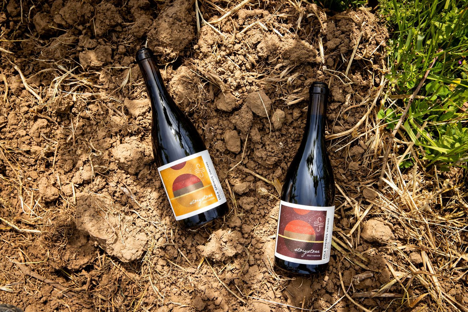 Two dark wine bottles with colorful sunset-themed labels lying on dry, cracked vineyard soil beside green plants and straw.
